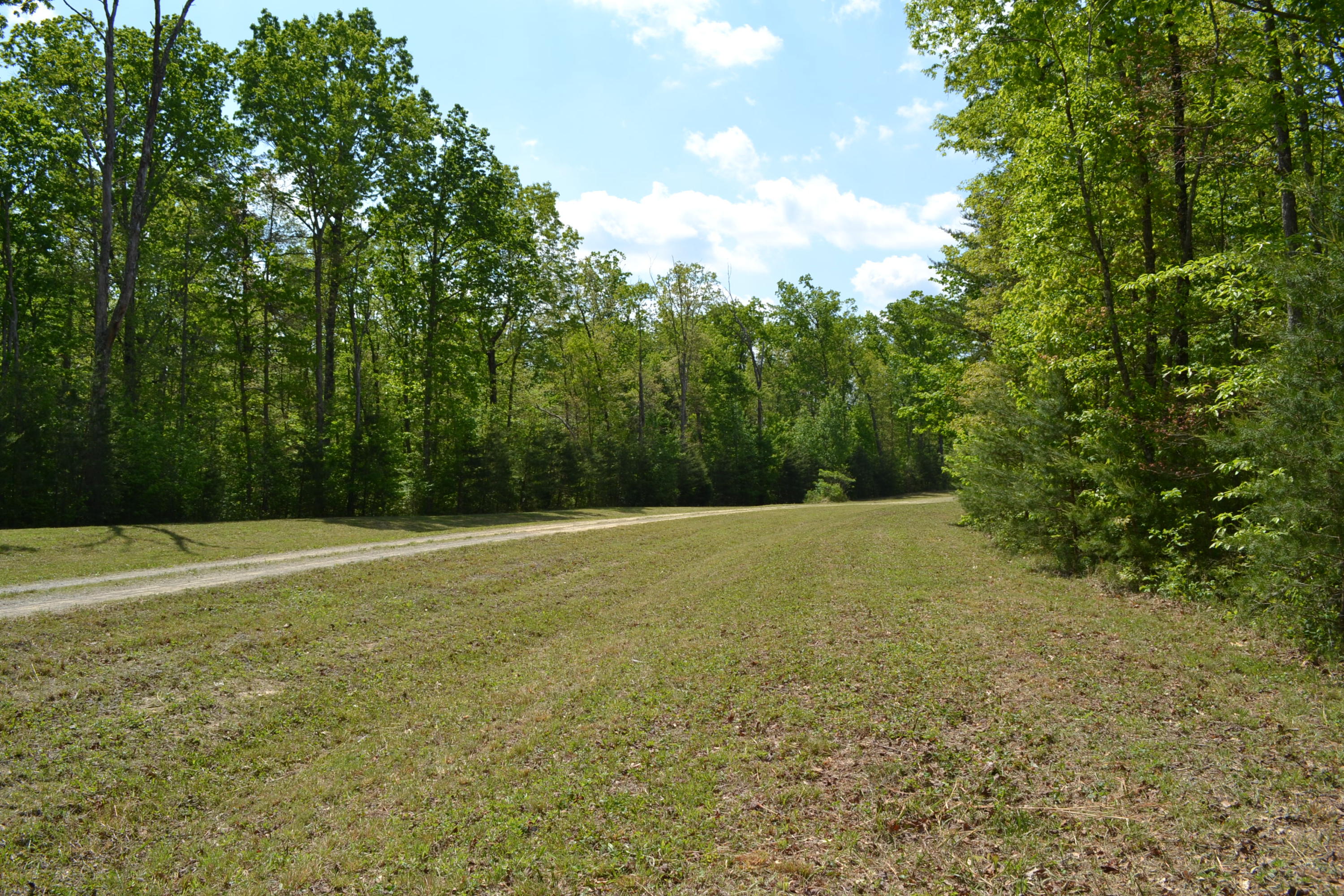 Rolling Meadows Road Grimsley, TN 38565 - Photo 19 of 26 DSC_1030