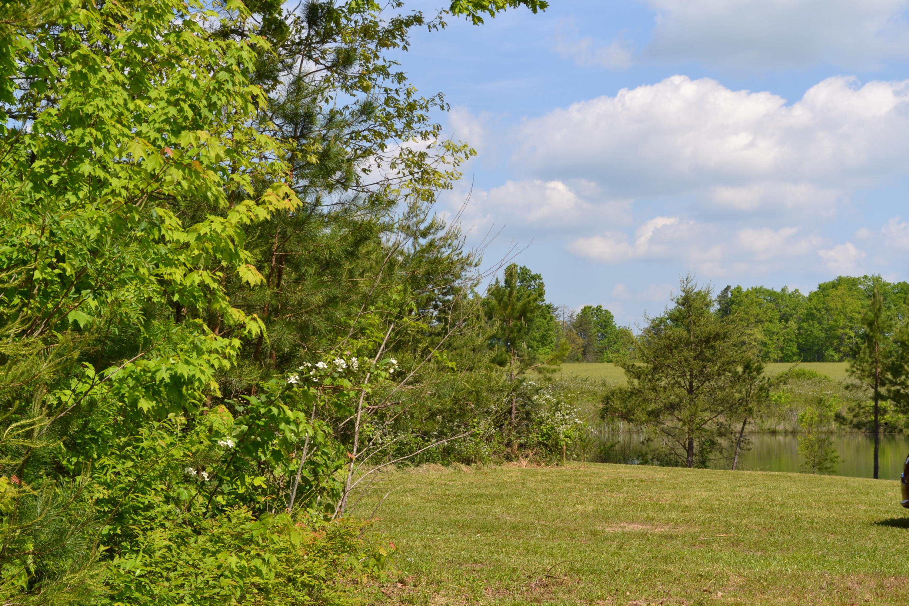 Rolling Meadows Road Grimsley, TN 38565 - Photo 20 of 26 DSC_1023