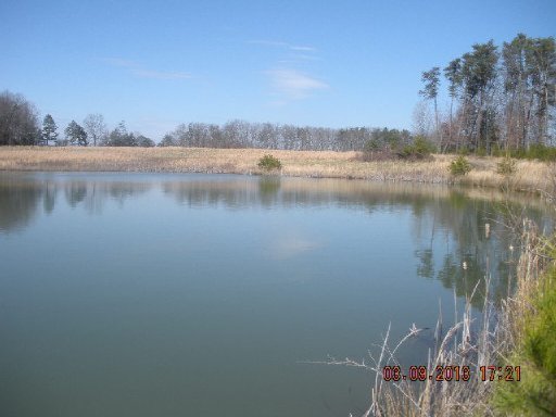 Rolling Meadows Road Grimsley, TN 38565 - Photo 8 of 26 Additional Photo