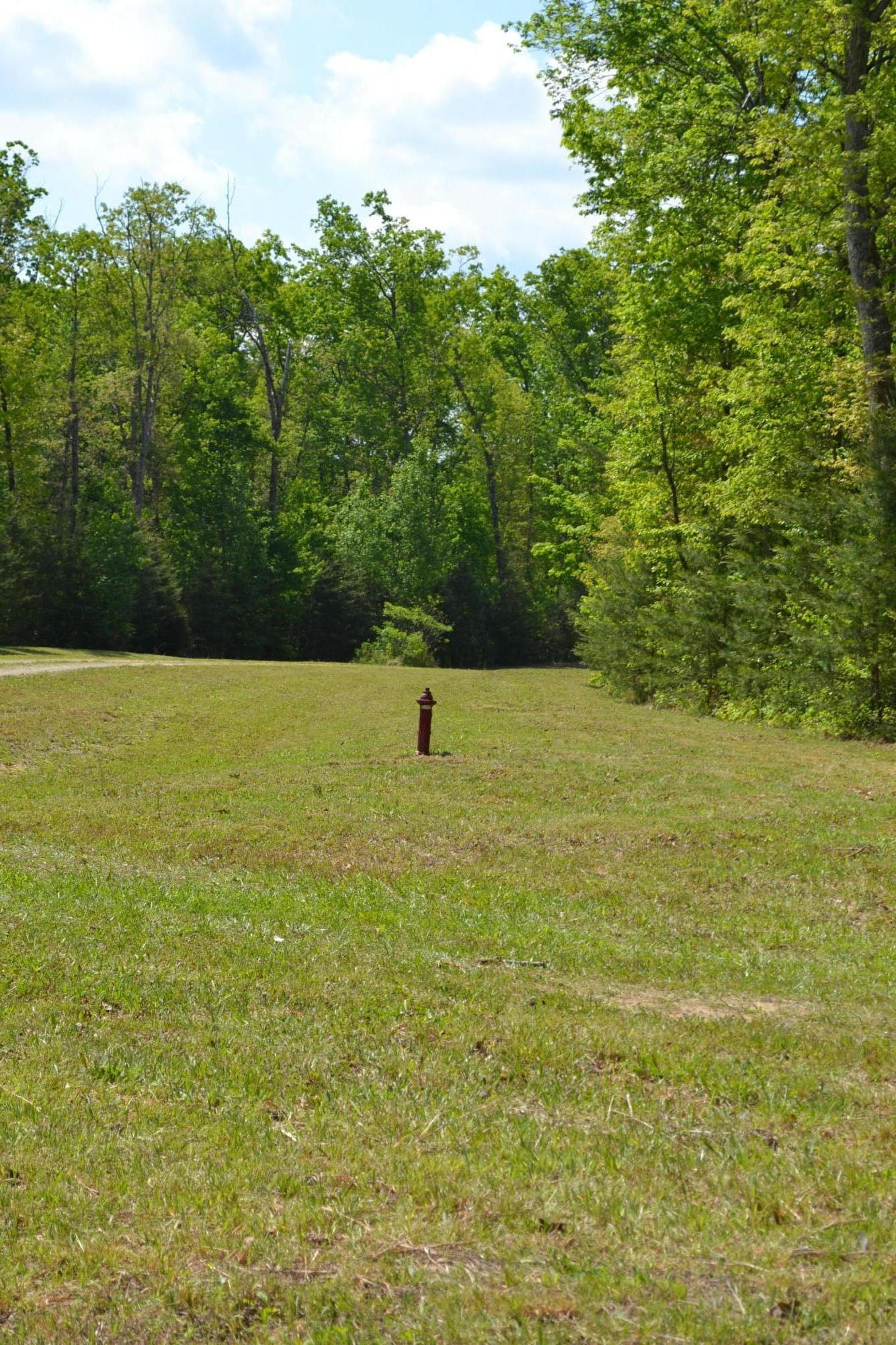 Rolling Meadows Road Grimsley, TN 38565 - Photo 10 of 26 DSC_1018