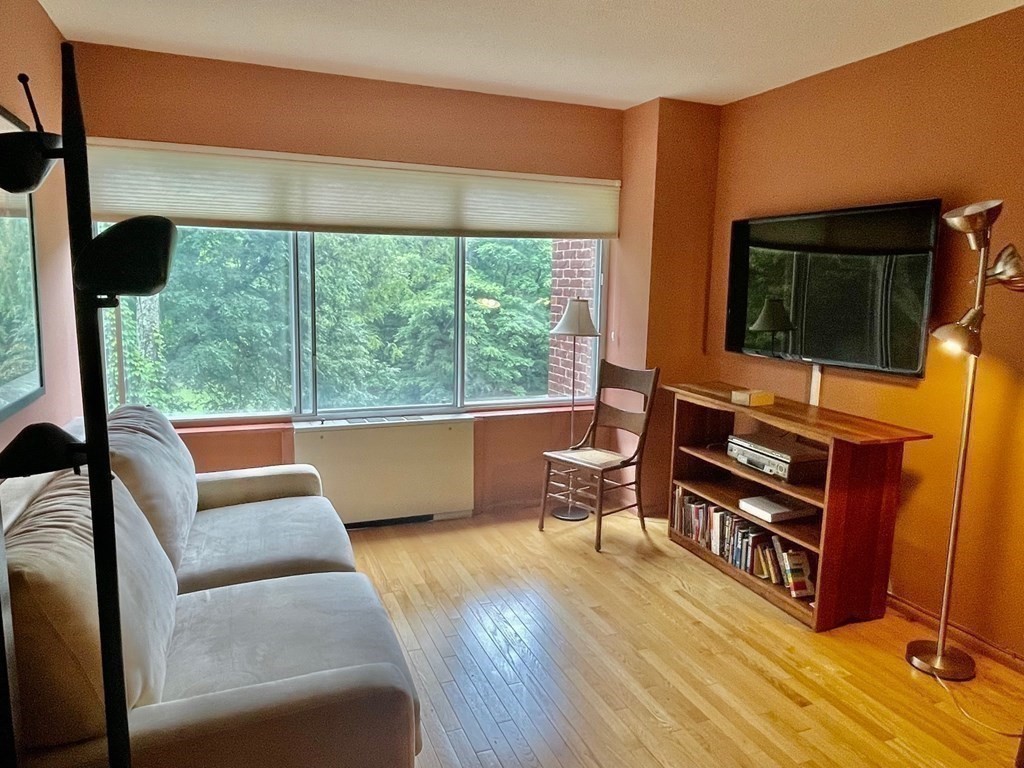 22 Chestnut Place, Unit 316 Brookline, MA 02445 - Photo 12 of 19 a living room with furniture and a flat screen tv