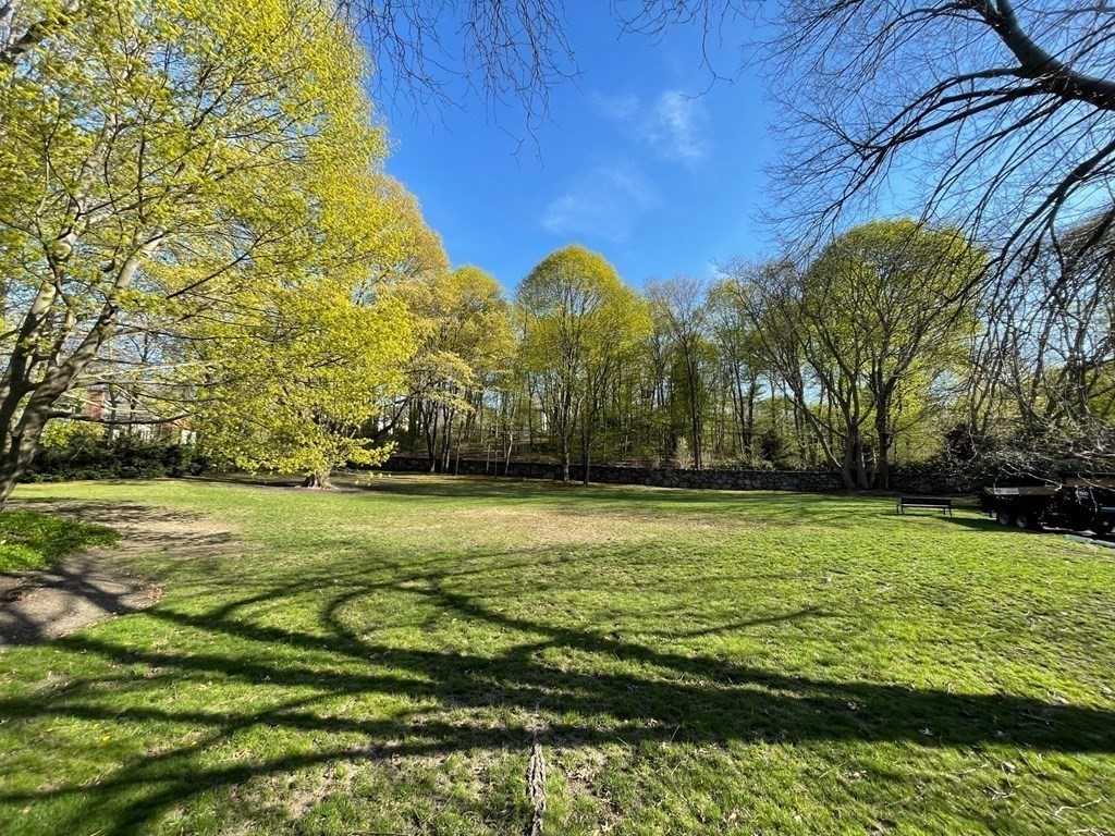 22 Chestnut Place, Unit 316 Brookline, MA 02445 - Photo 18 of 19 a view of a large yard with an outdoor space