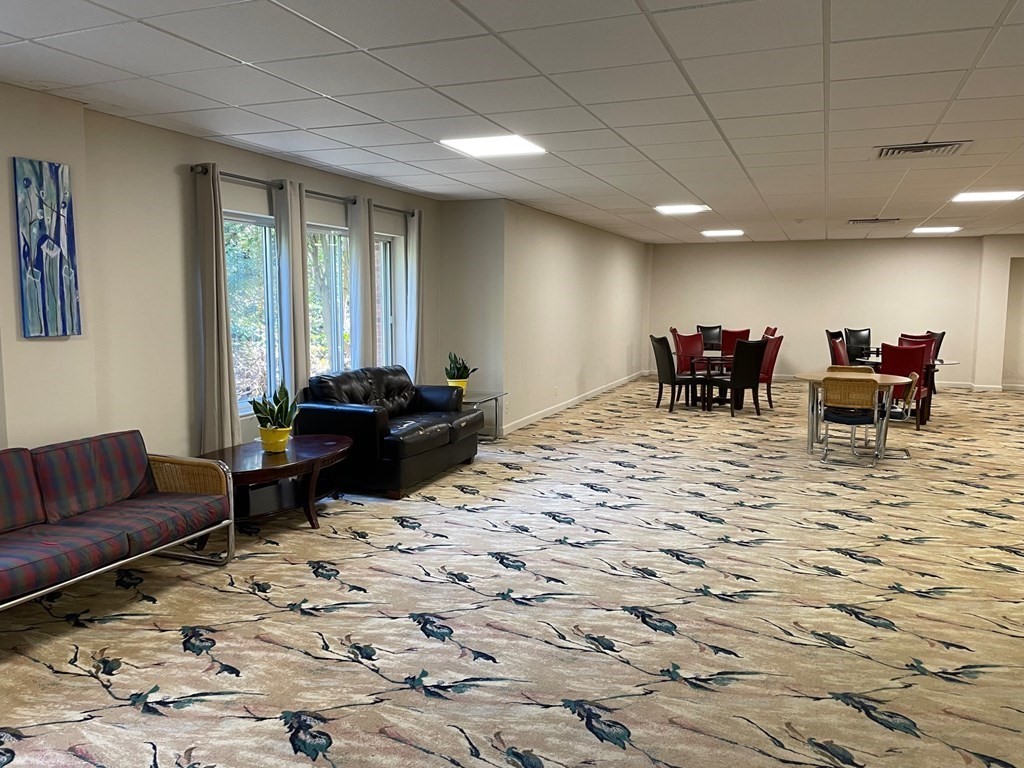 22 Chestnut Place, Unit 316 Brookline, MA 02445 - Photo 19 of 19 a living room with furniture