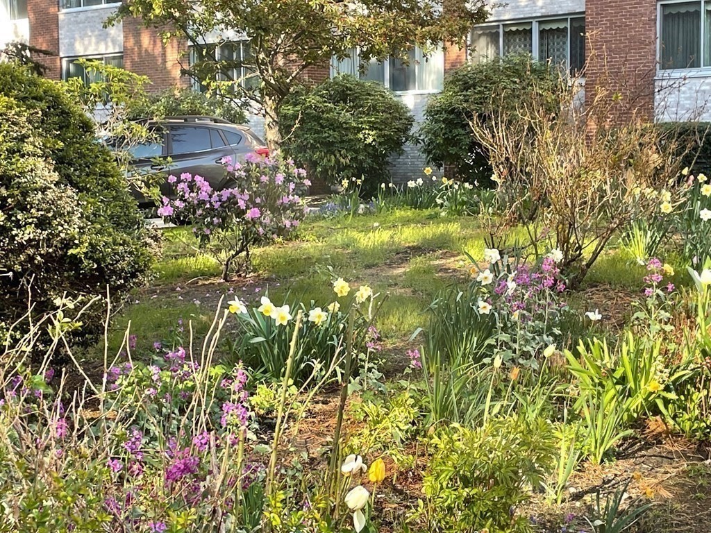 22 Chestnut Place, Unit 316 Brookline, MA 02445 - Photo 3 of 19 a backyard of a house with lots of green space and garden in the back