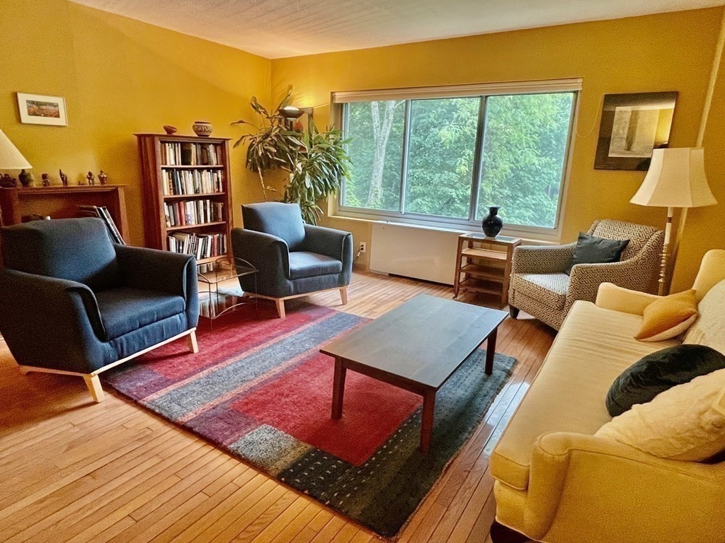22 Chestnut Place, Unit 316 Brookline, MA 02445 - Photo 6 of 19 a living room with furniture and a large window