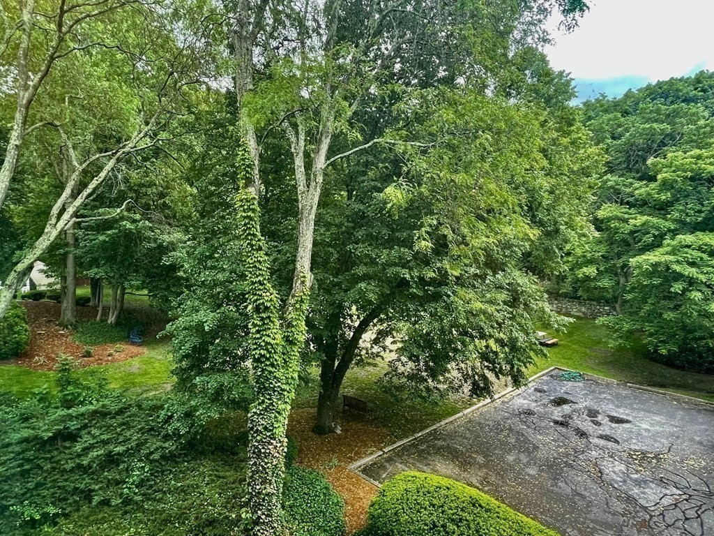 22 Chestnut Place, Unit 316 Brookline, MA 02445 - Photo 7 of 19 a view of a yard