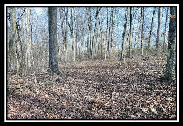 0 Raysville Road, Unit TRACT 2) Jackson, OH 45640 - Photo 29 of 36 image029