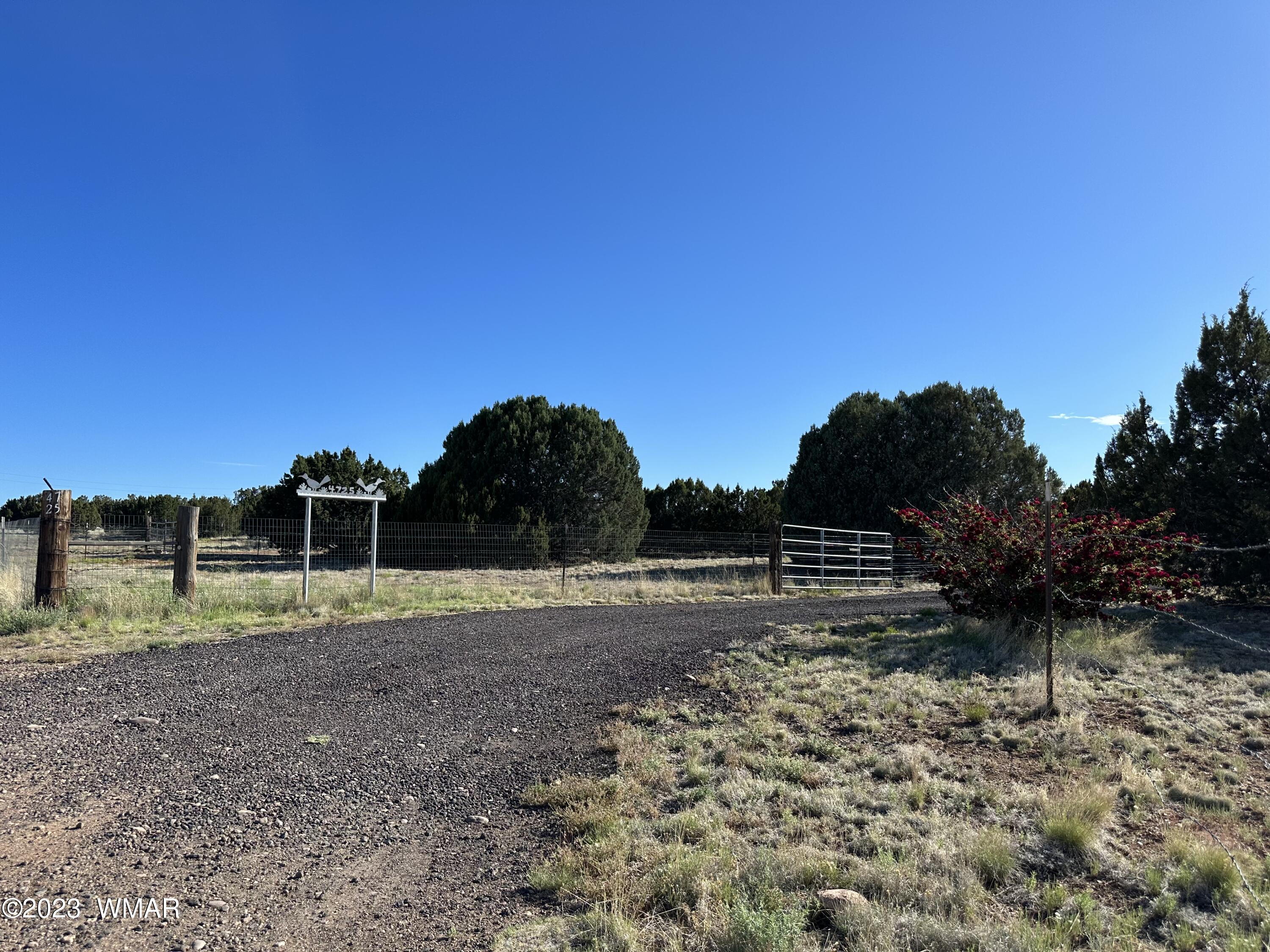 4725 Gene Taylor Ranch Road Taylor, AZ 85939 - Photo 1 of 47