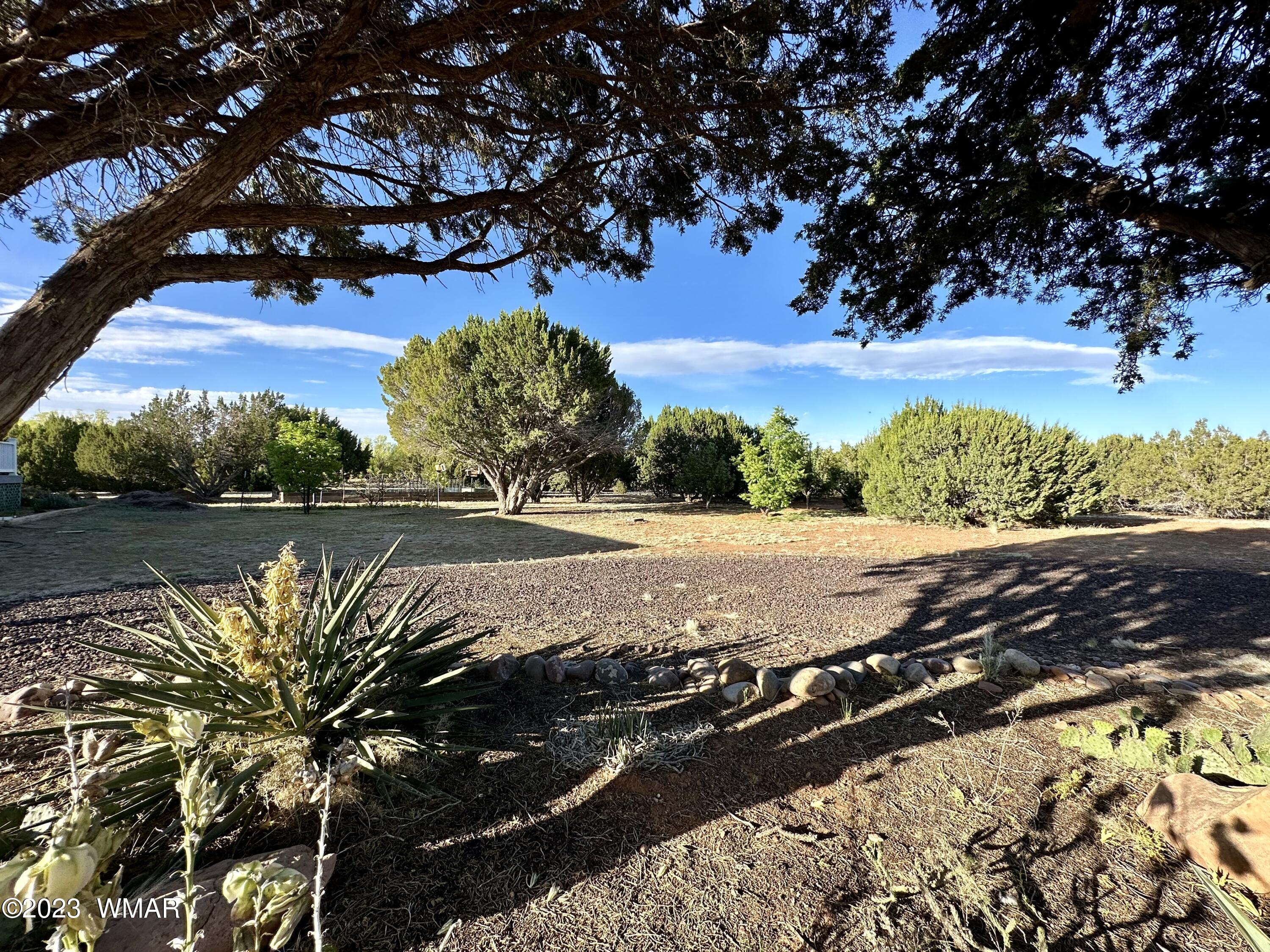 4725 Gene Taylor Ranch Road Taylor, AZ 85939 - Photo 18 of 47