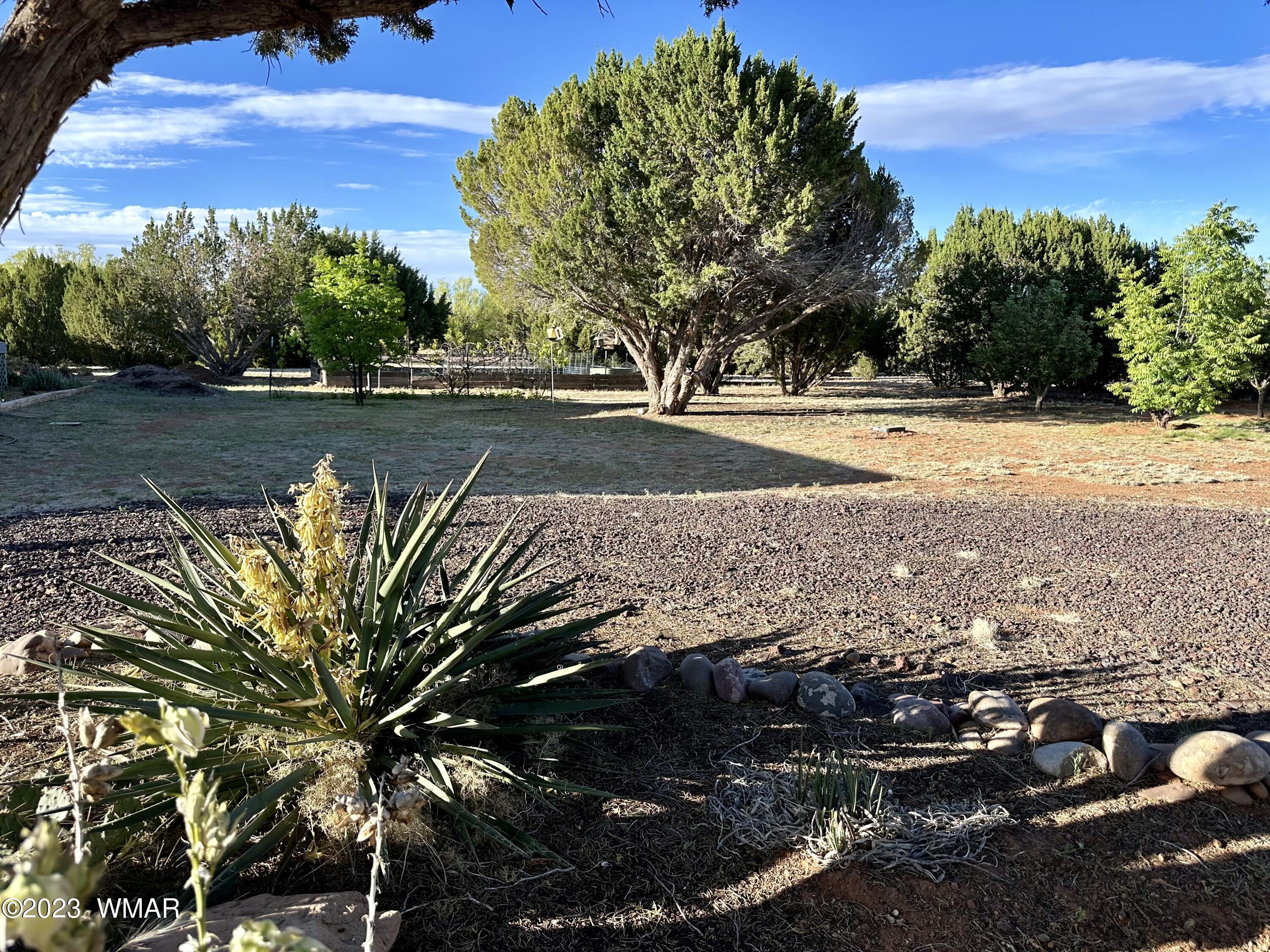 4725 Gene Taylor Ranch Road Taylor, AZ 85939 - Photo 19 of 47
