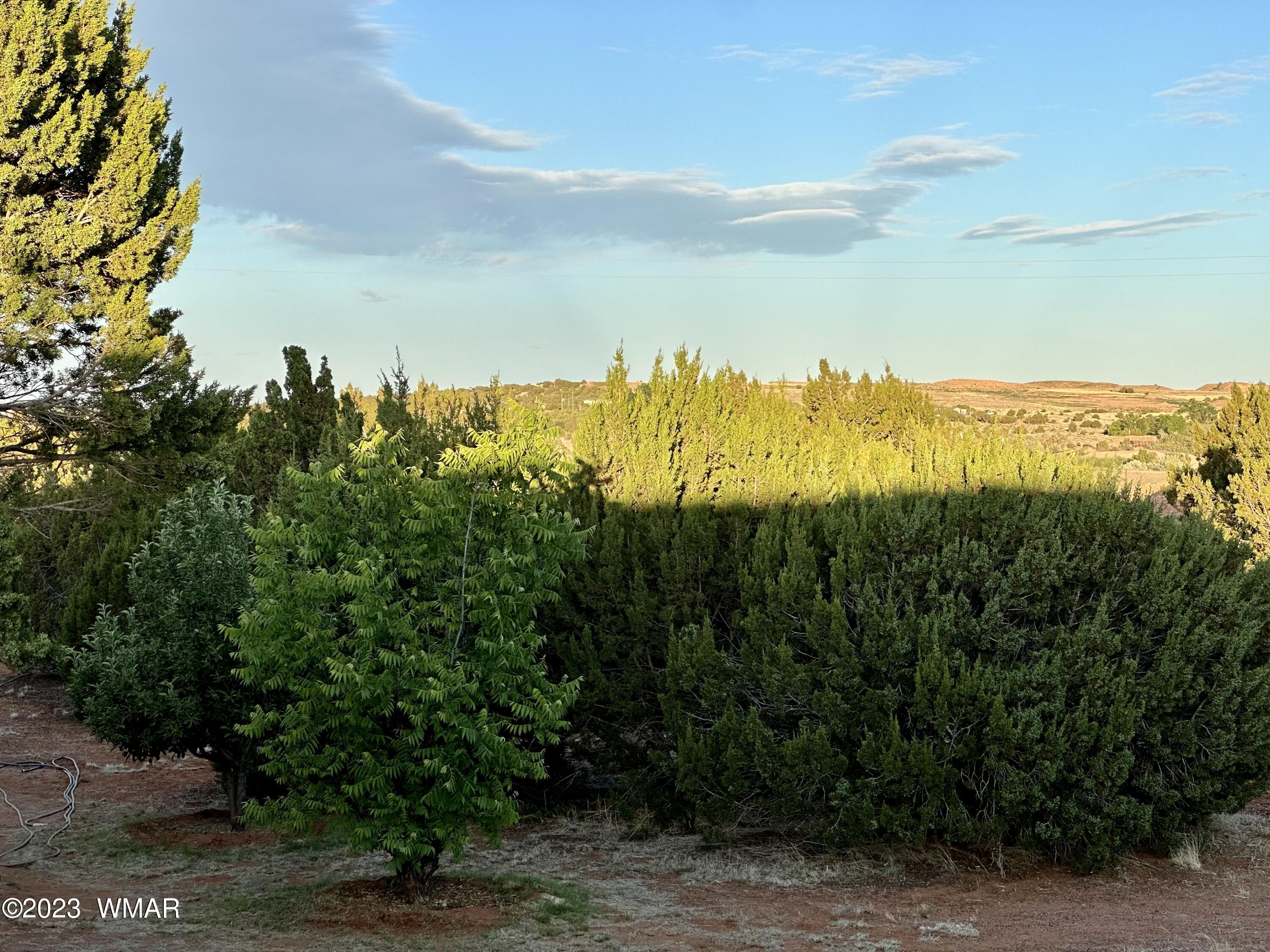 4725 Gene Taylor Ranch Road Taylor, AZ 85939 - Photo 20 of 47
