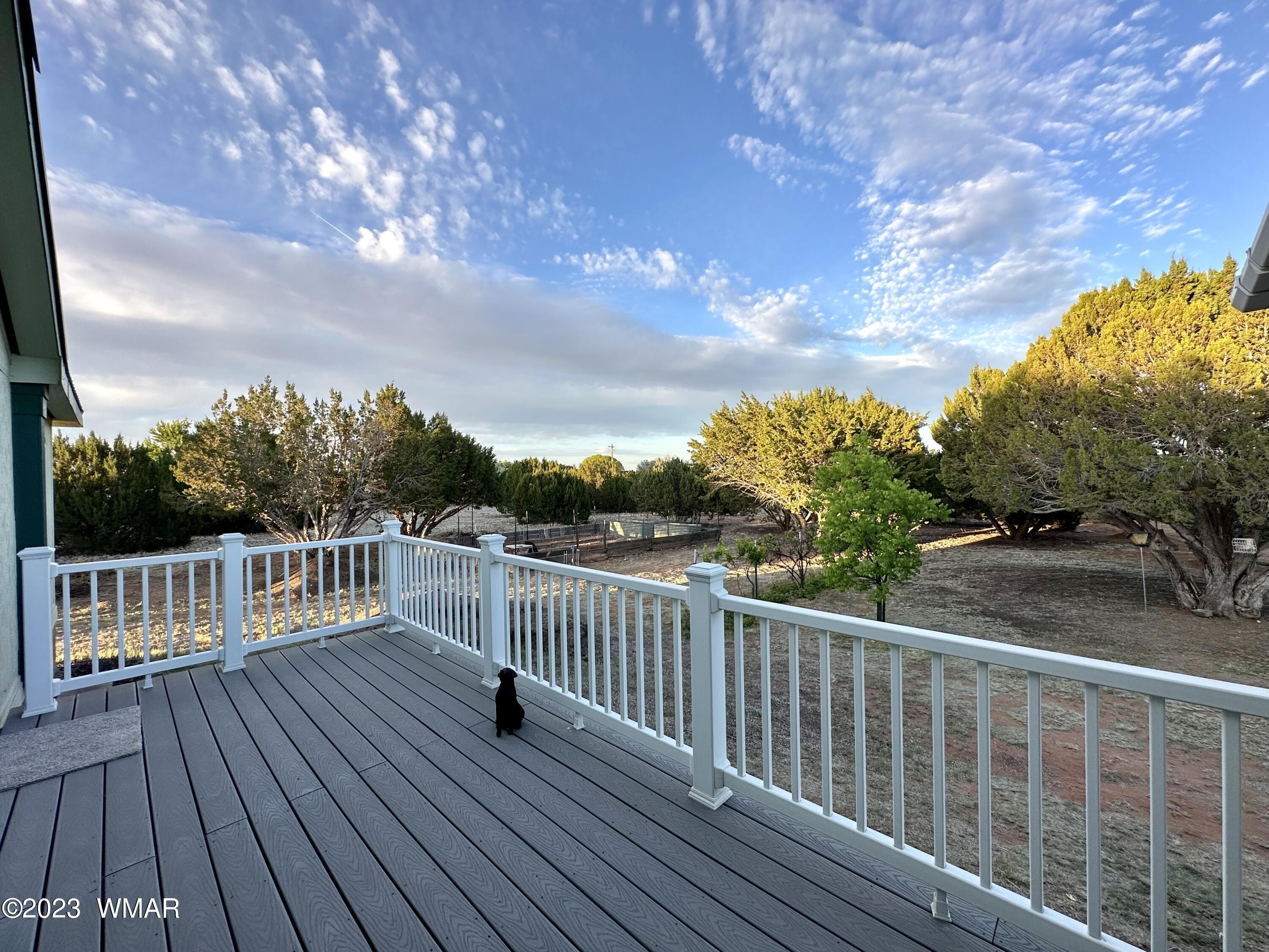 4725 Gene Taylor Ranch Road Taylor, AZ 85939 - Photo 21 of 47