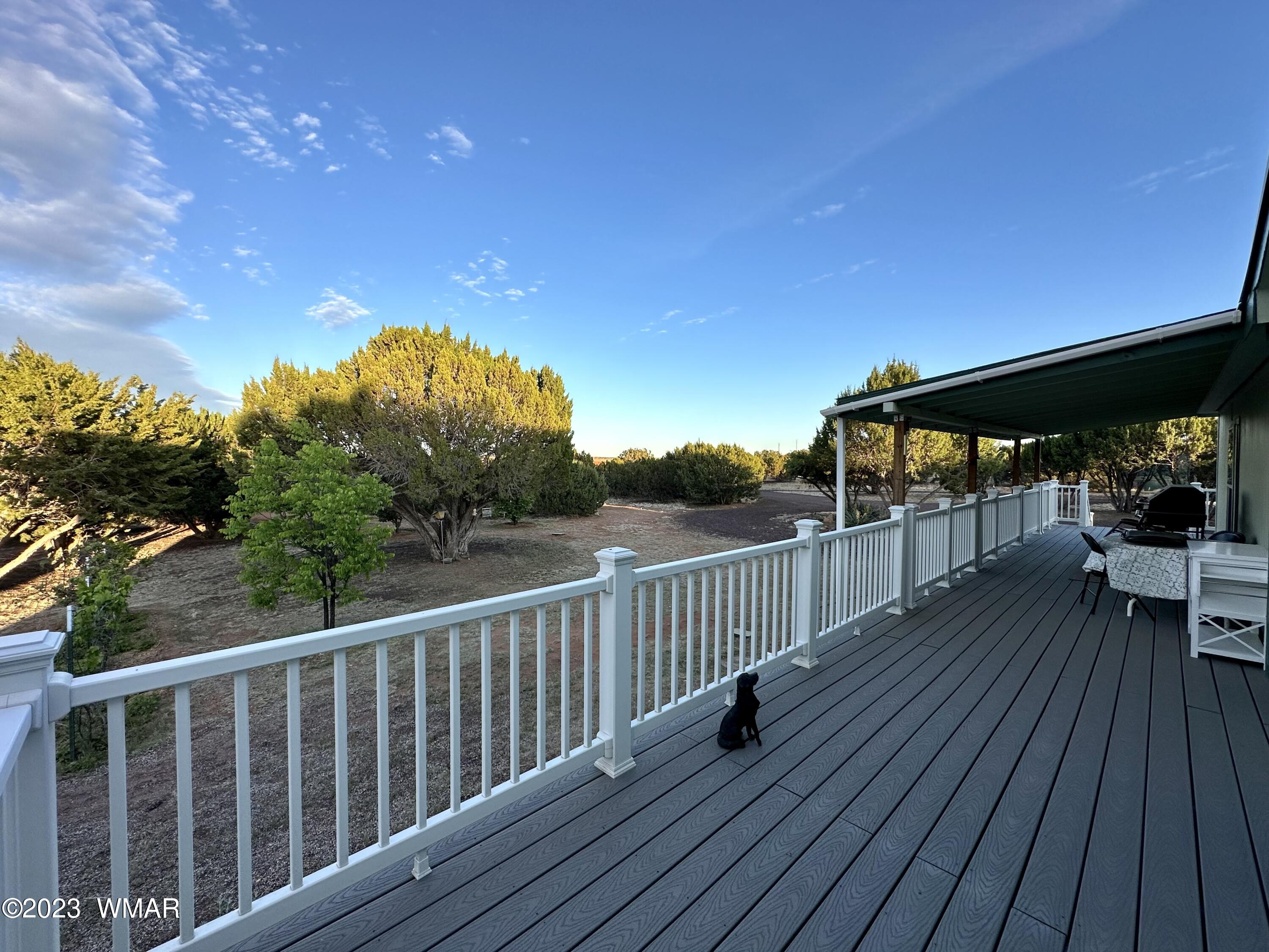 4725 Gene Taylor Ranch Road Taylor, AZ 85939 - Photo 22 of 47