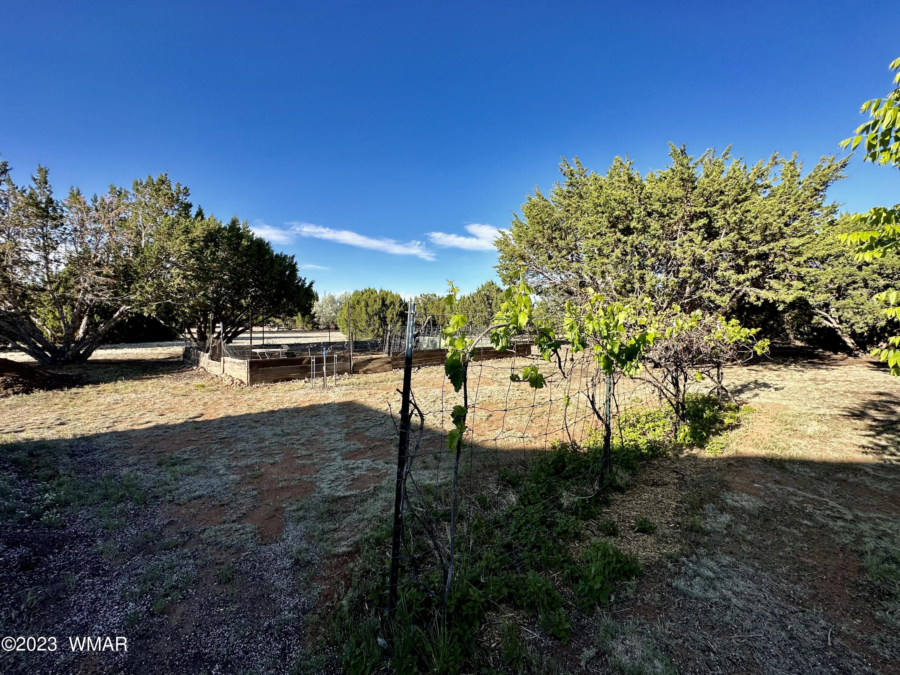 4725 Gene Taylor Ranch Road Taylor, AZ 85939 - Photo 9 of 47