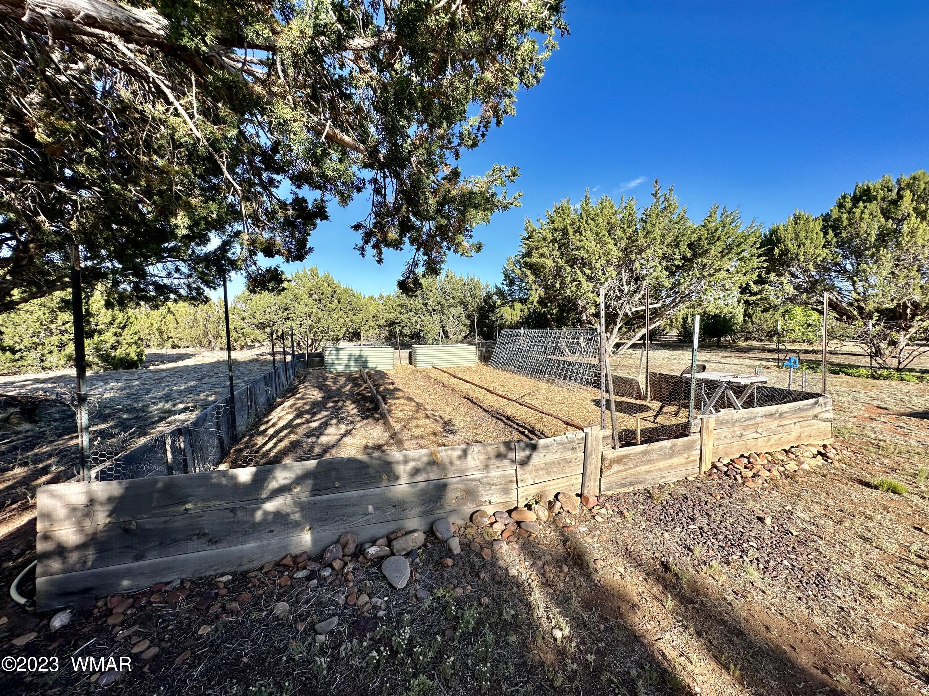 4725 Gene Taylor Ranch Road Taylor, AZ 85939 - Photo 10 of 47