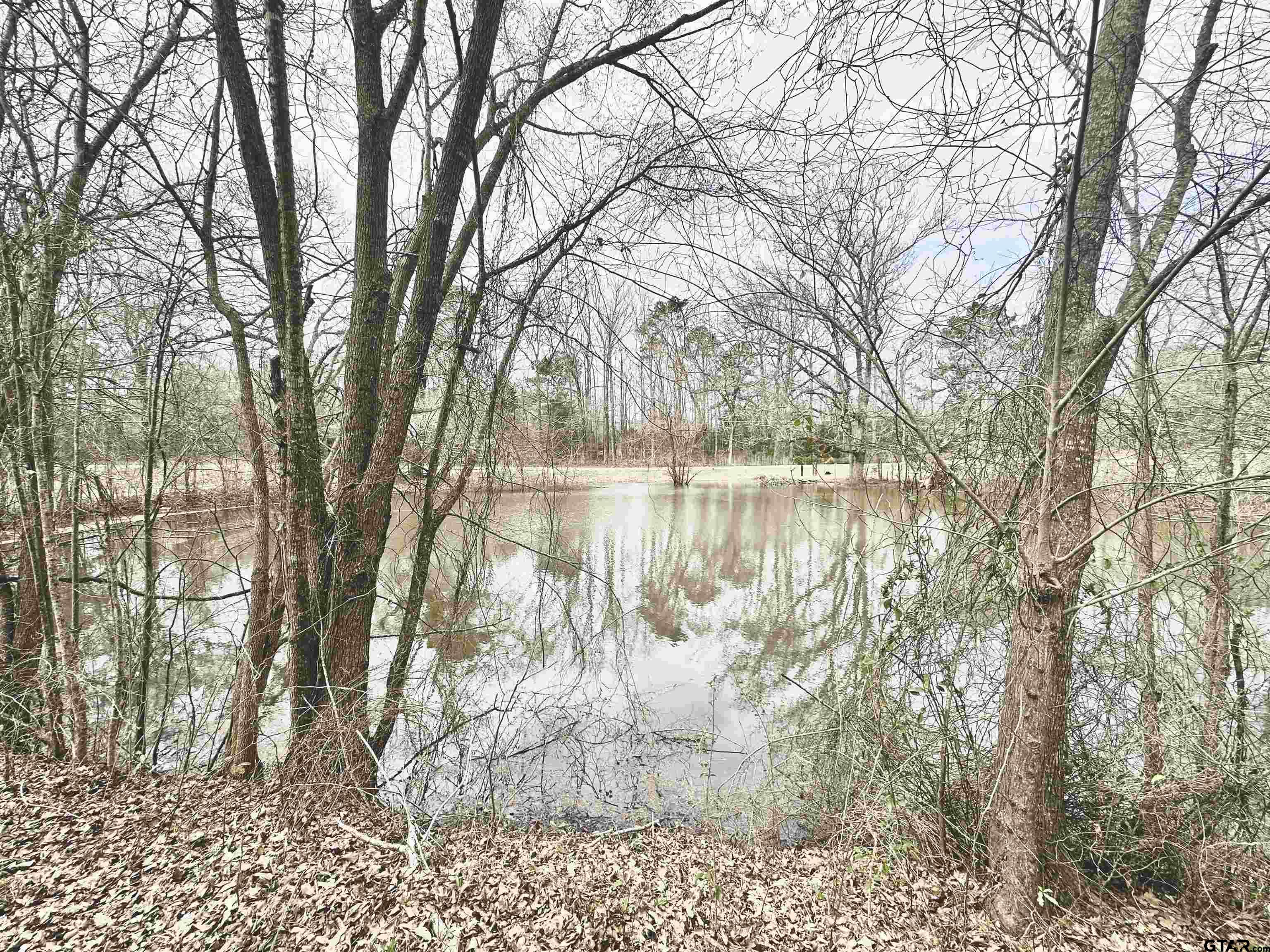 804 Range Road Palestine, TX 75801 - Photo 14 of 18