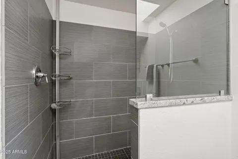 a bathroom with a shower and a sink