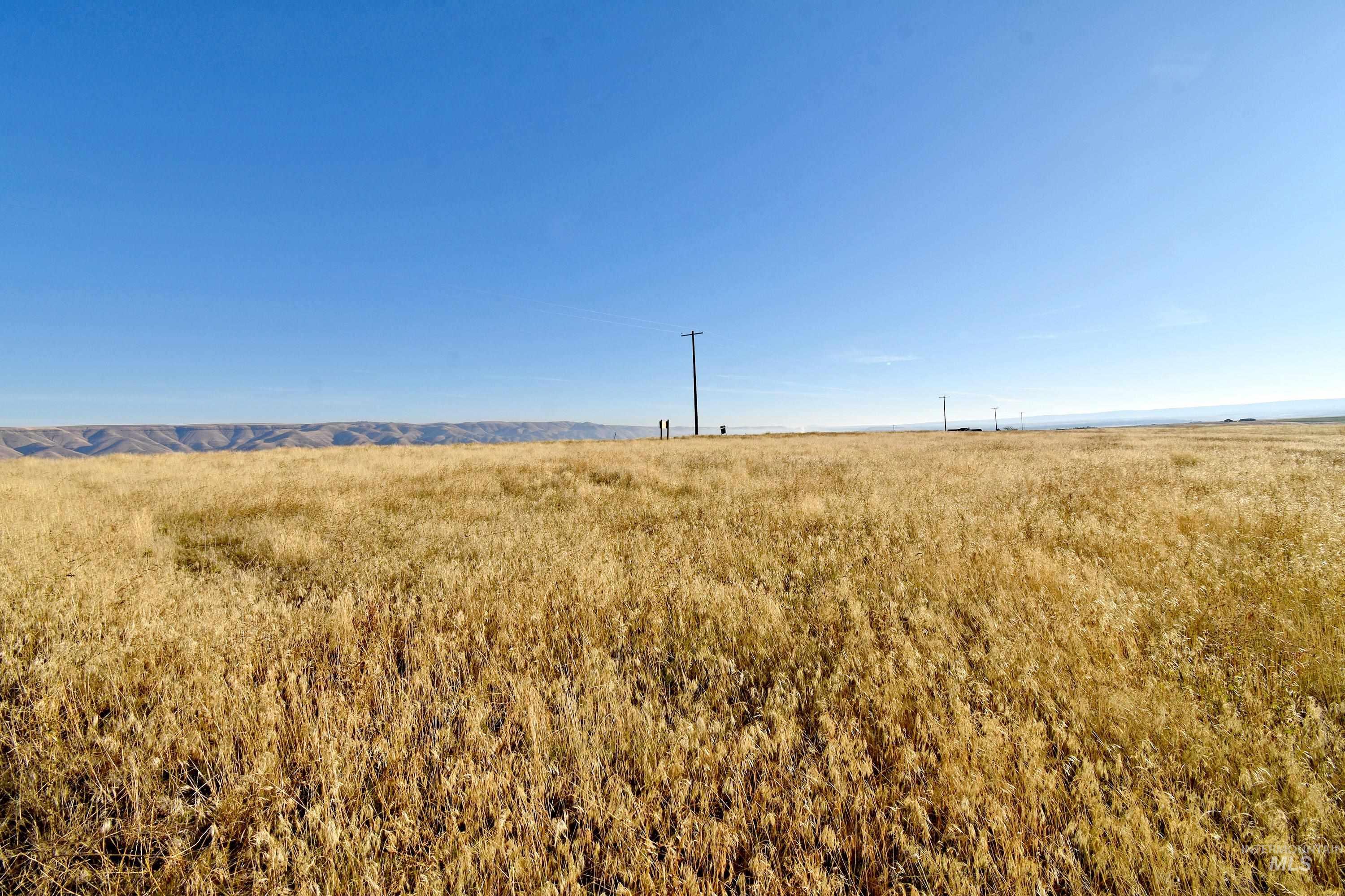 0 Peola Road Clarkston, WA 99403 - Photo 3 of 15