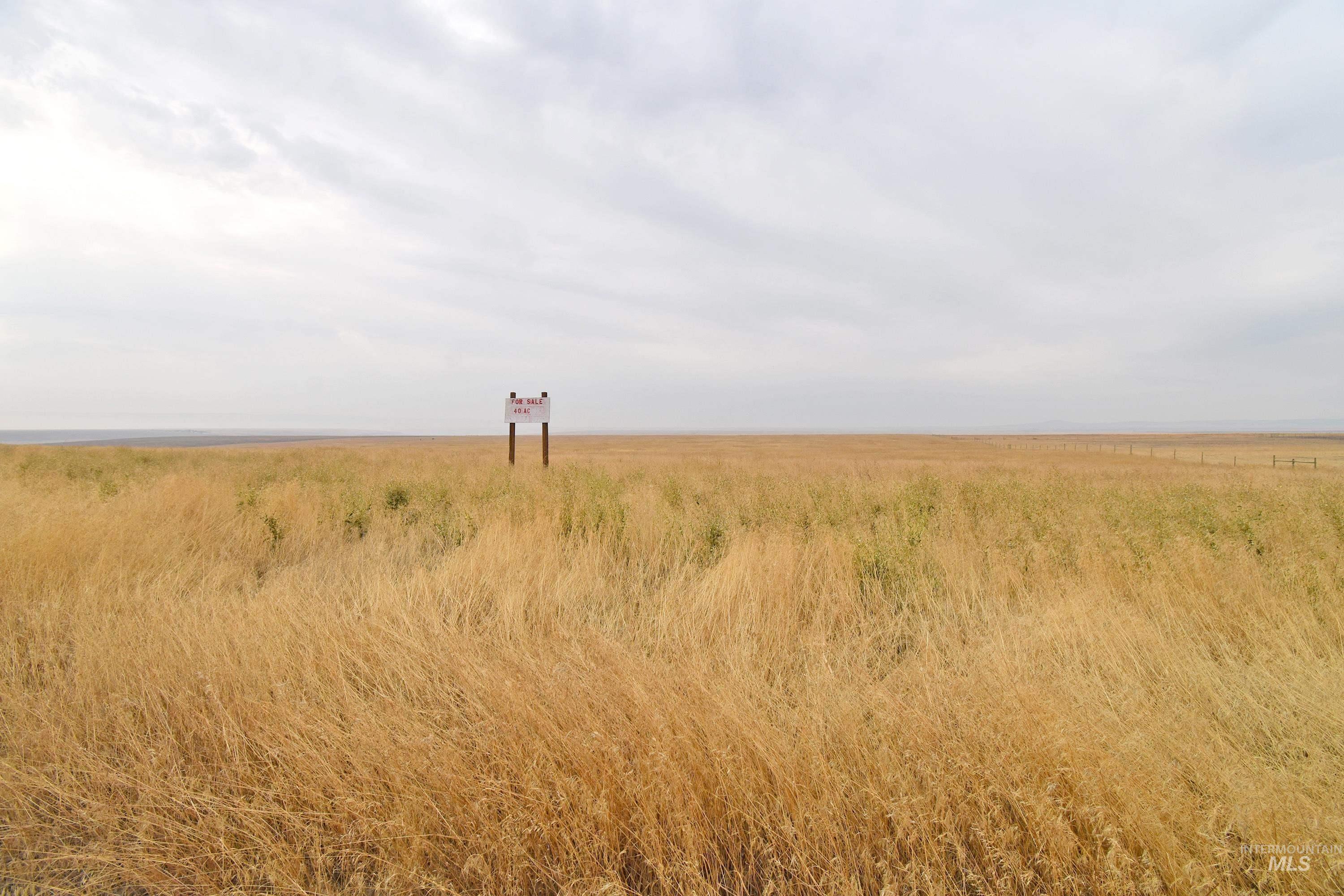 0 Peola Road Clarkston, WA 99403 - Photo 4 of 15