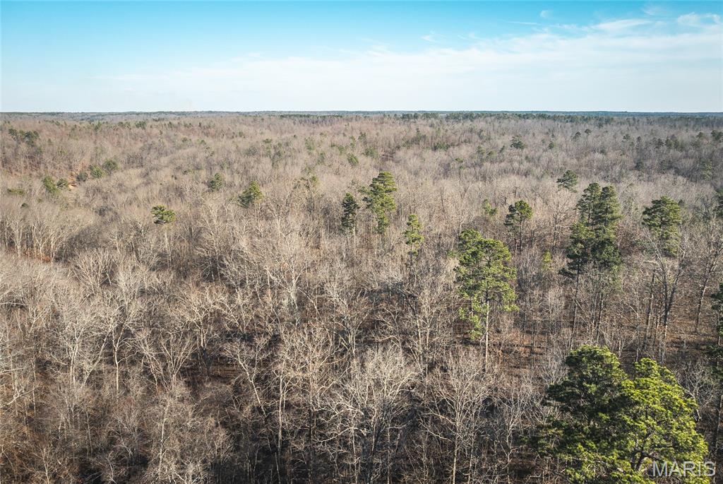 8090 Timberhill Road Hartshorn, MO 65479 - Photo 41 of 44