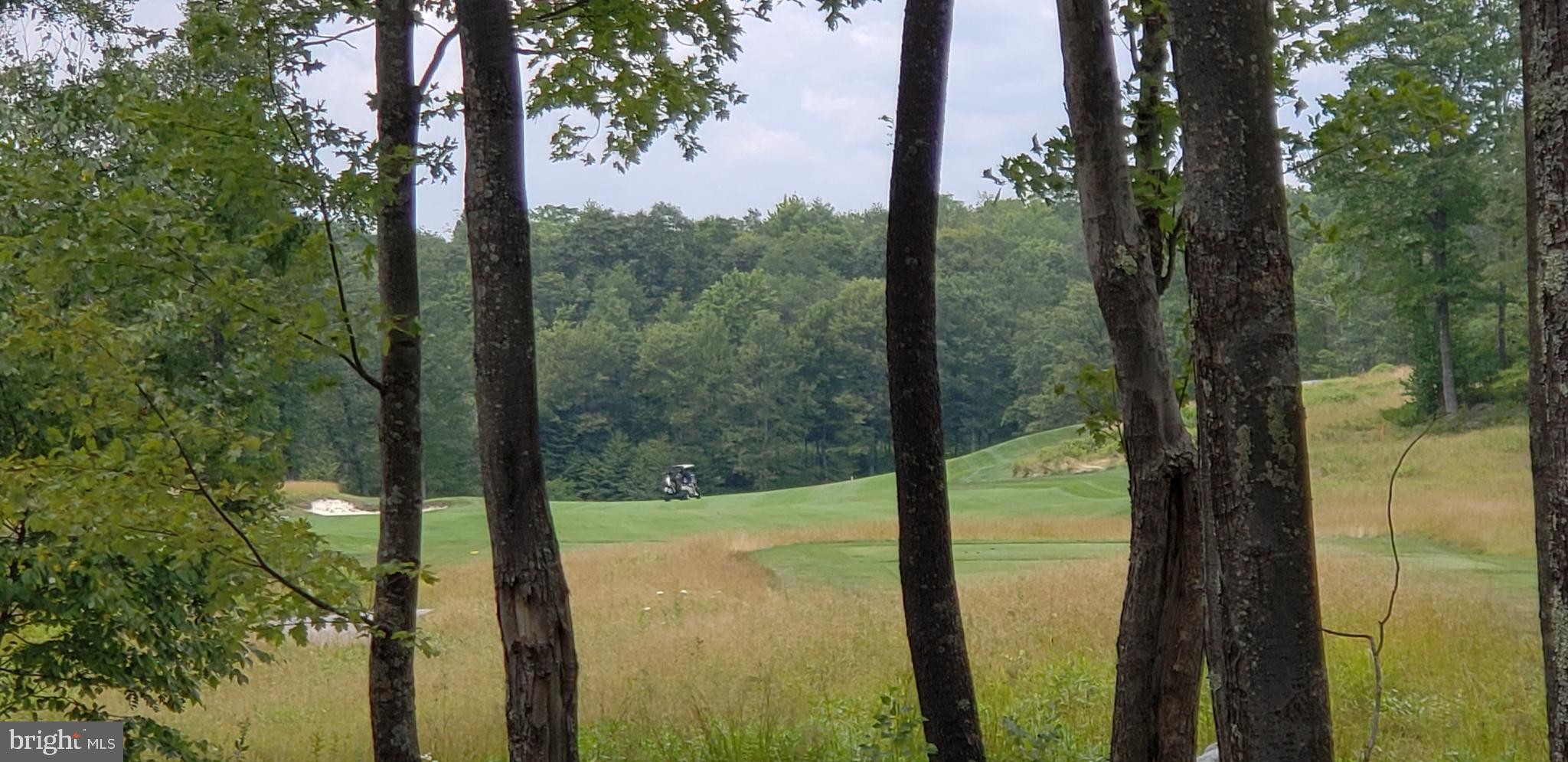 Sandstone Circle Oakland, MD 21550 - Photo 1 of 6