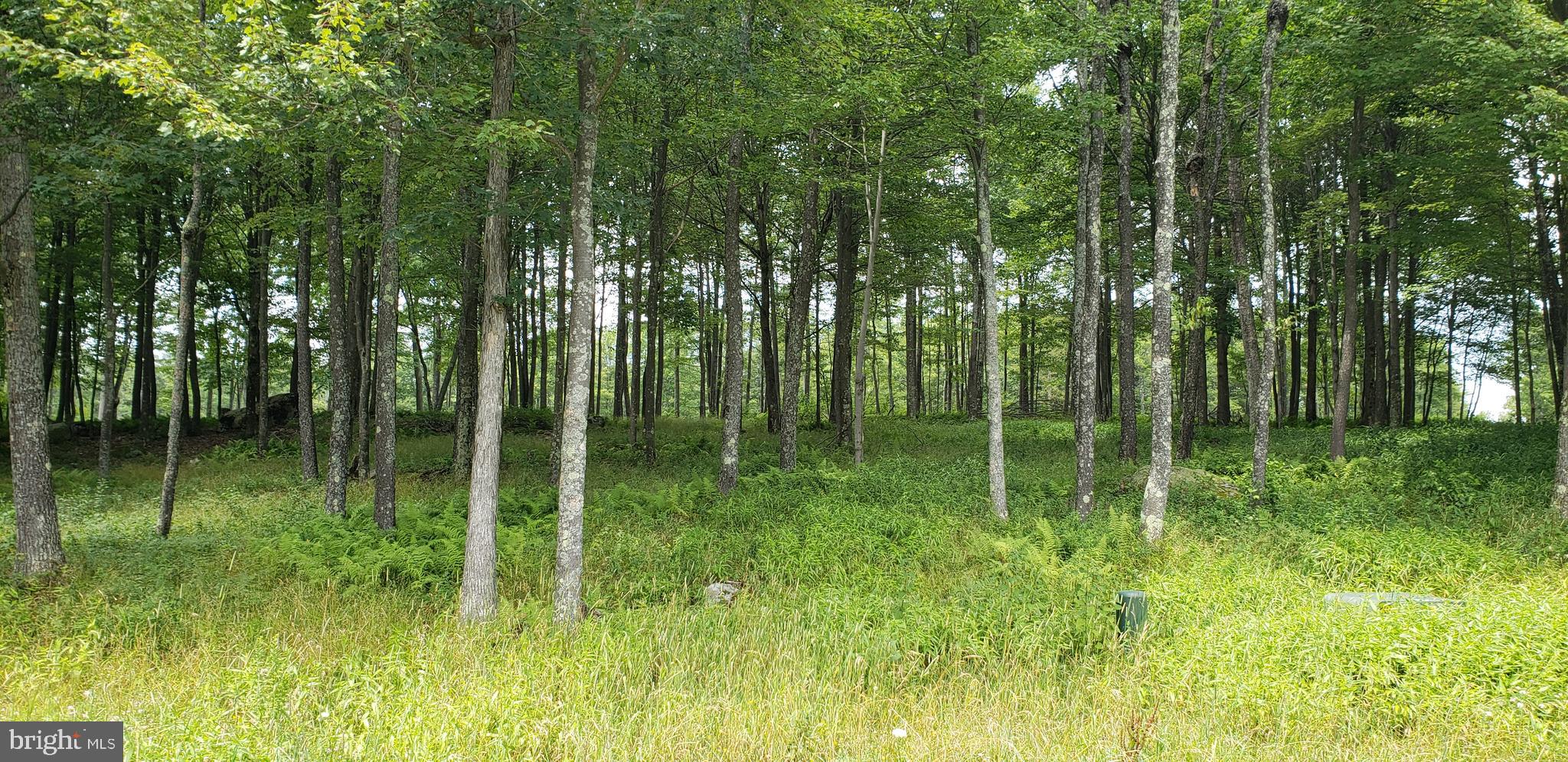 Sandstone Circle Oakland, MD 21550 - Photo 3 of 6