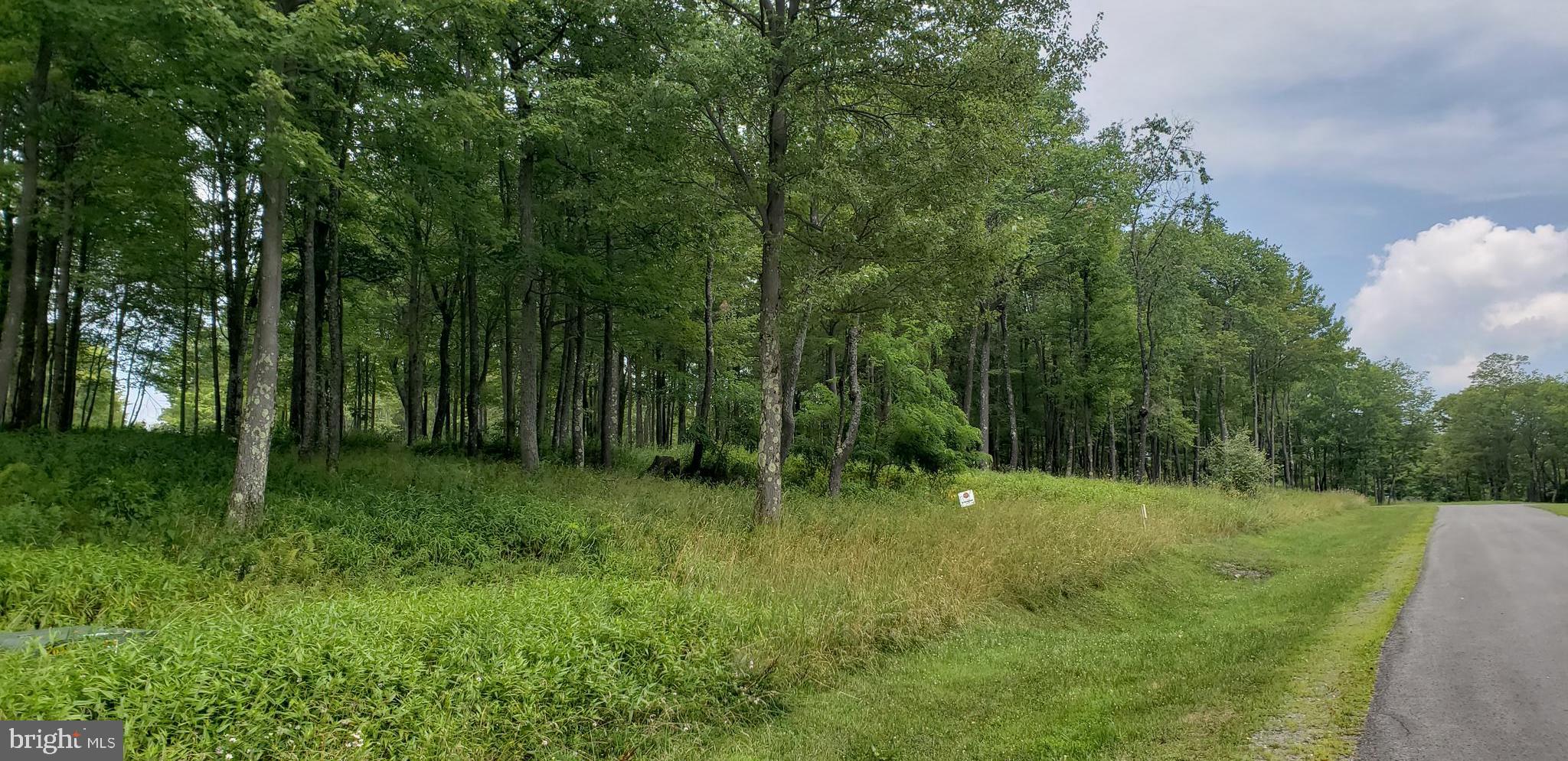 Sandstone Circle Oakland, MD 21550 - Photo 4 of 6
