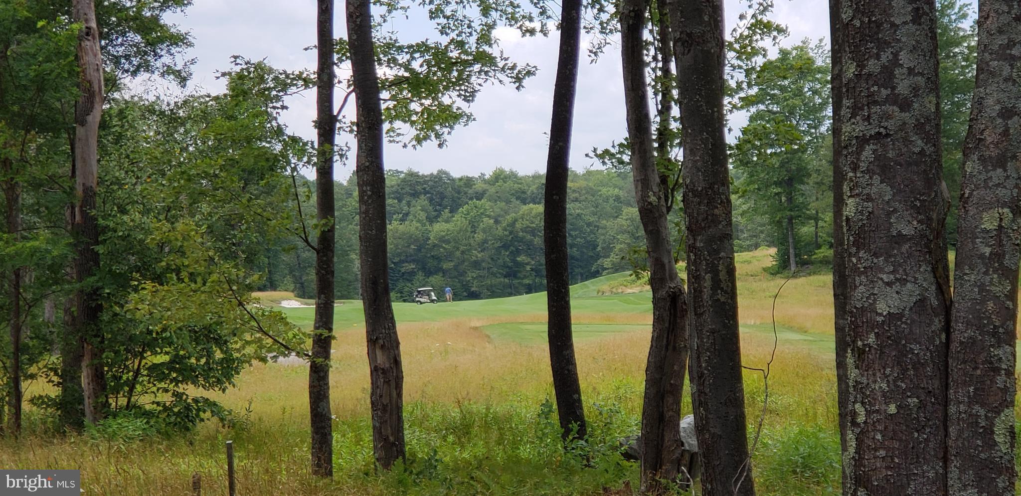 Sandstone Circle Oakland, MD 21550 - Photo 5 of 6