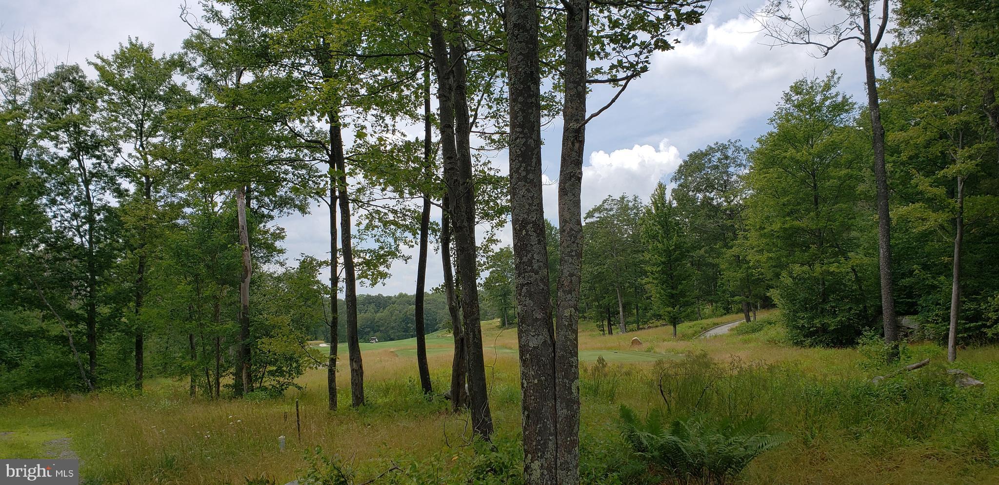 Sandstone Circle Oakland, MD 21550 - Photo 6 of 6