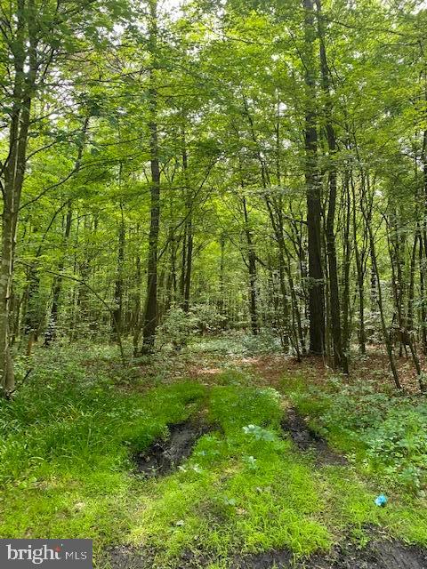 0 Drawbridge Road Princess Anne, MD 21853 - Photo 4 of 5