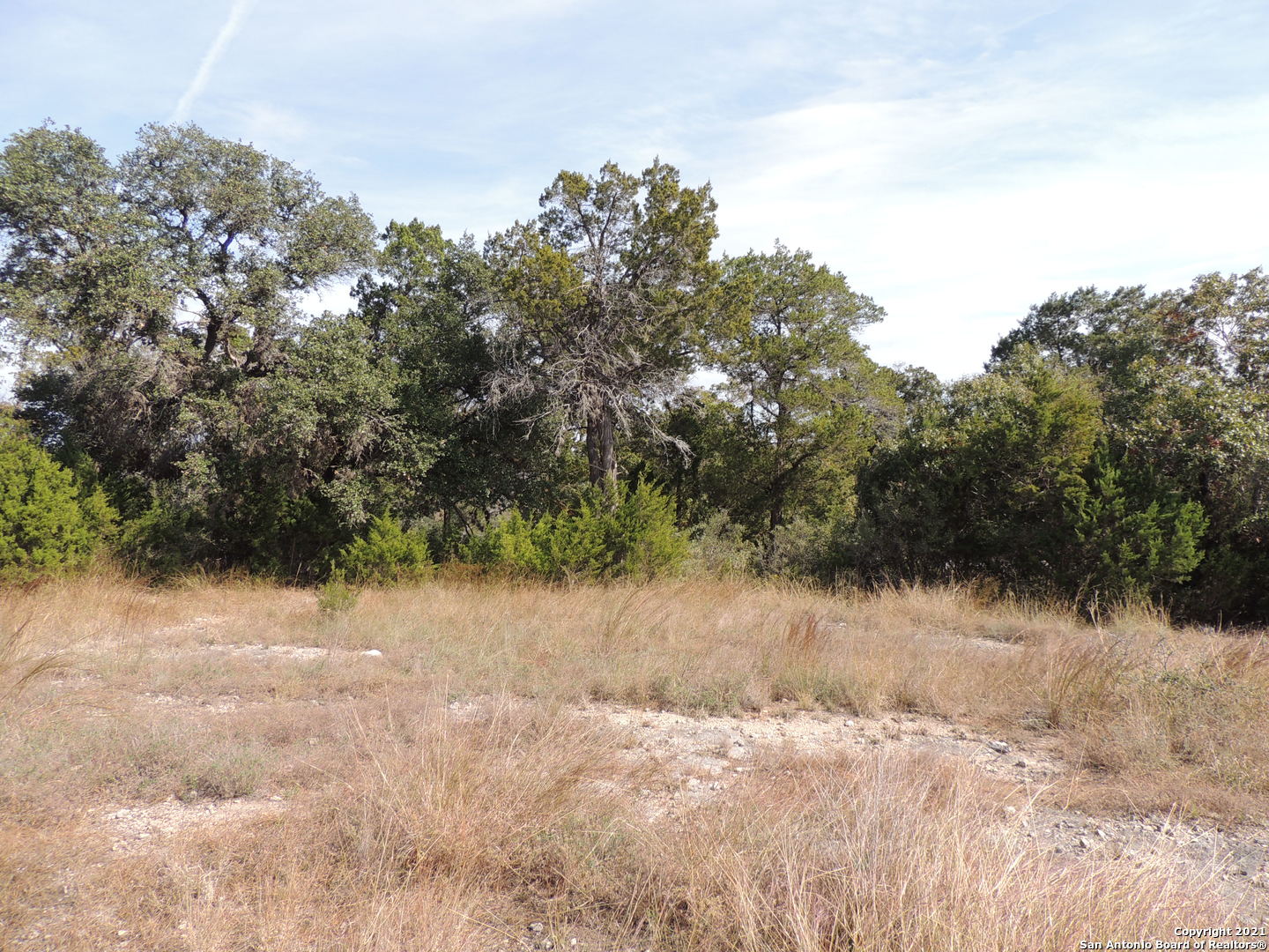 1203 Mystic Parkway Spring Branch, TX 78070 - Photo 6 of 7