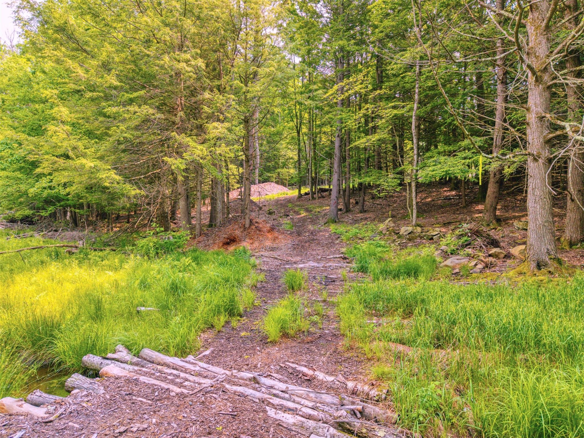 Tbd Boulder Brook Lots 33-38 Road Windham, NY 12496 - Photo 13 of 50 a backyard of a house with lots of green space and garden