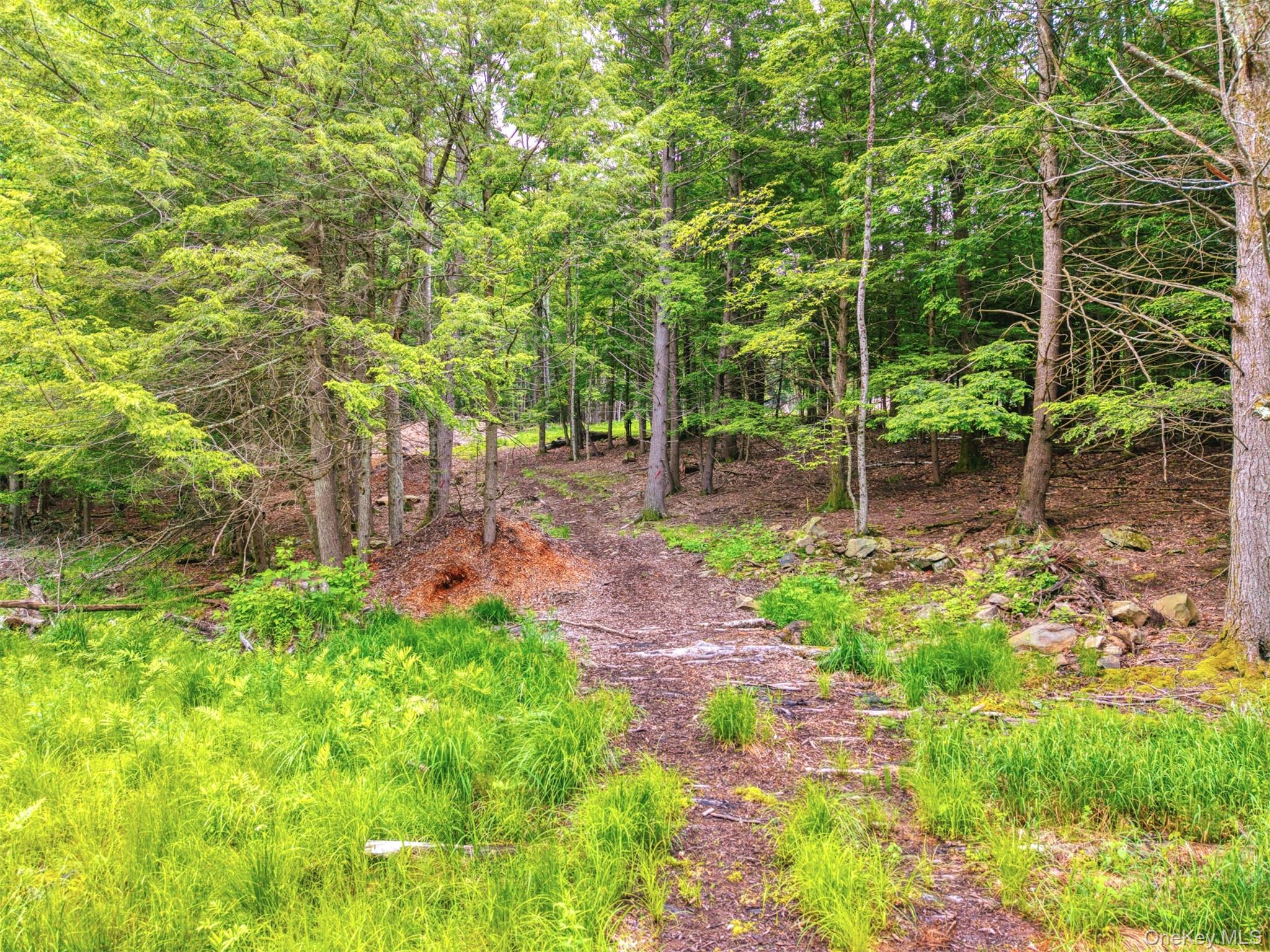 Tbd Boulder Brook Lots 33-38 Road Windham, NY 12496 - Photo 21 of 50 a backyard of a house with lots of green space and plants
