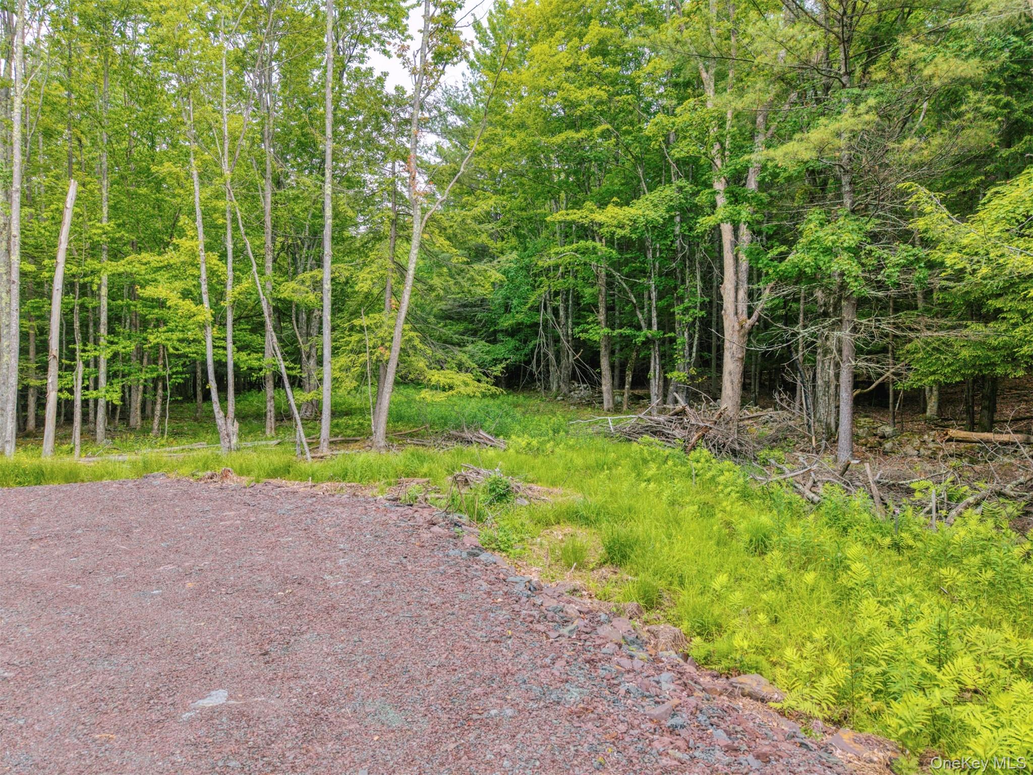Tbd Boulder Brook Lots 33-38 Road Windham, NY 12496 - Photo 29 of 50 a view of a house with a backyard