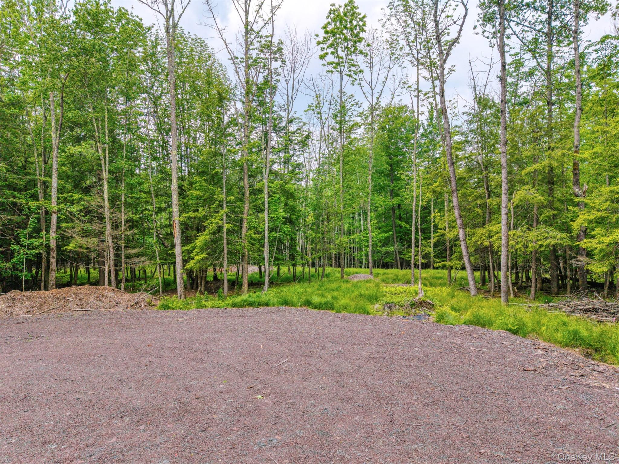 Tbd Boulder Brook Lots 33-38 Road Windham, NY 12496 - Photo 31 of 50 a view of outdoor space with trampoline