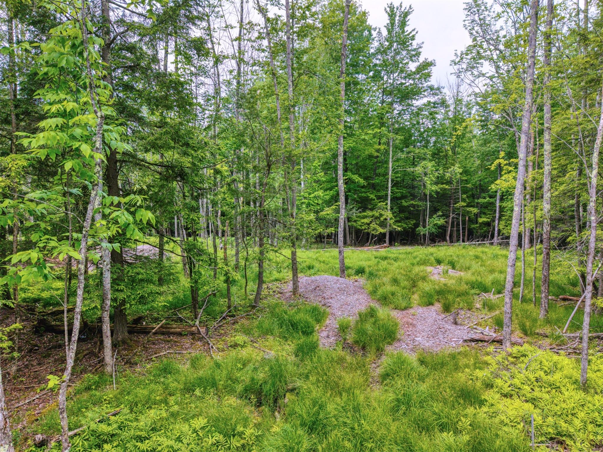 Tbd Boulder Brook Lots 33-38 Road Windham, NY 12496 - Photo 32 of 50 a view of a backyard with potted plants and large trees