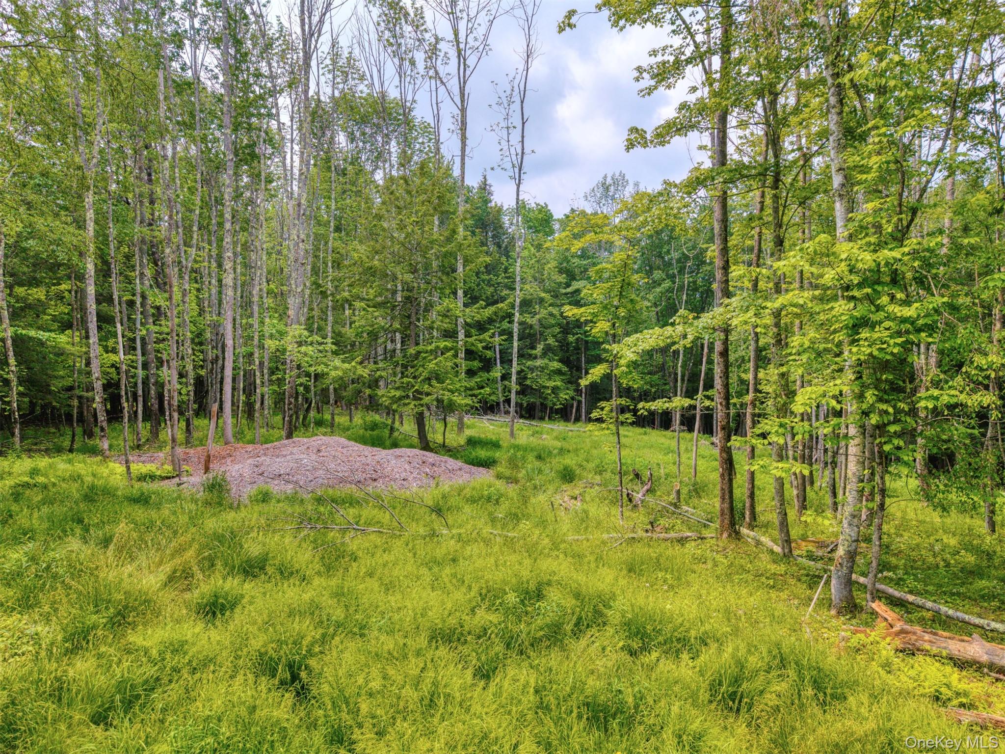 Tbd Boulder Brook Lots 33-38 Road Windham, NY 12496 - Photo 34 of 50 View of yard featuring a forest view