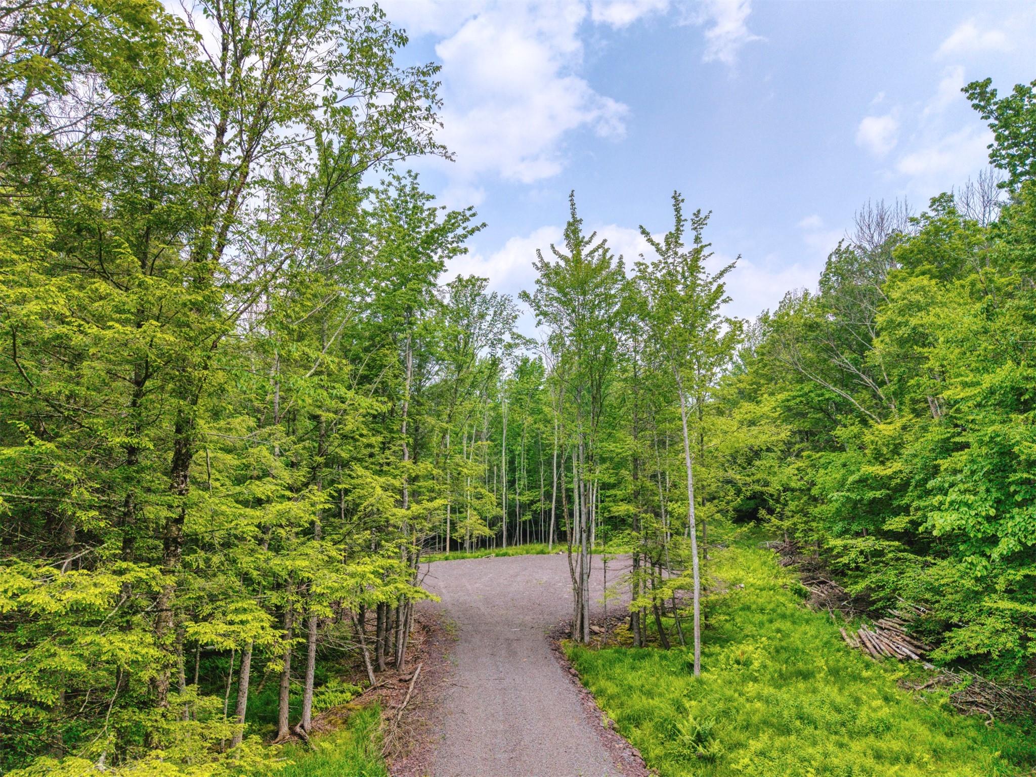 Tbd Boulder Brook Lots 33-38 Road Windham, NY 12496 - Photo 36 of 50 a view of a plants with a tree
