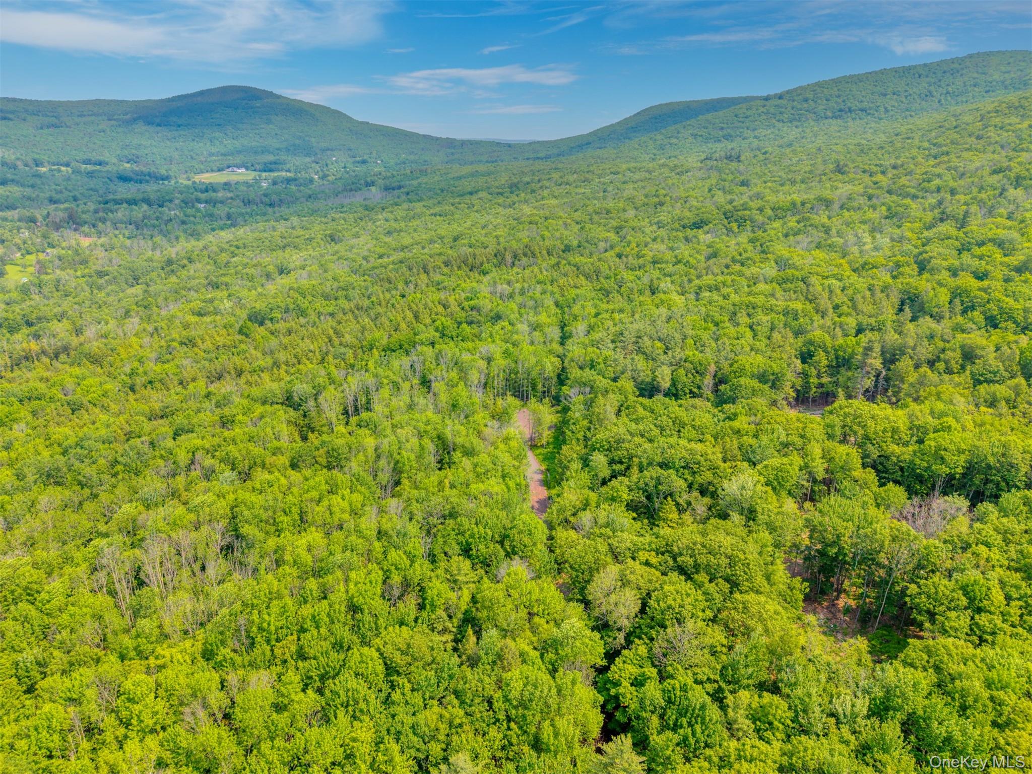 Tbd Boulder Brook Lots 33-38 Road Windham, NY 12496 - Photo 39 of 50 View of mountain background with a heavily wooded area