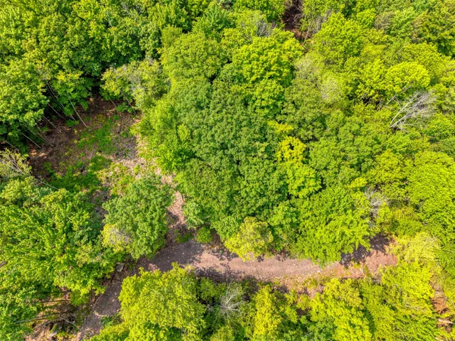a view of a small yard with plants and white walls