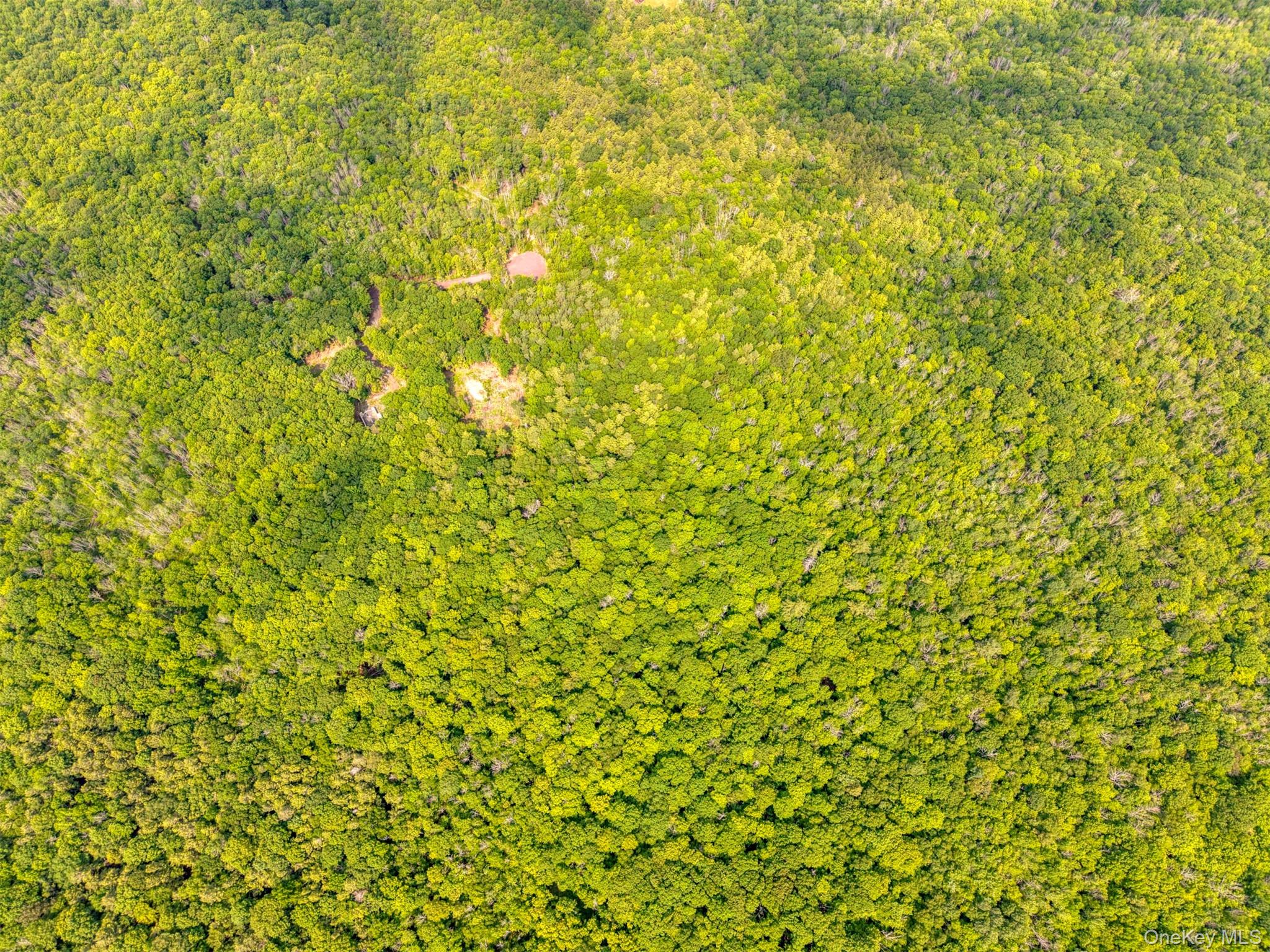 Tbd Boulder Brook Lots 33-38 Road Windham, NY 12496 - Photo 45 of 50 Bird's eye view of a forest