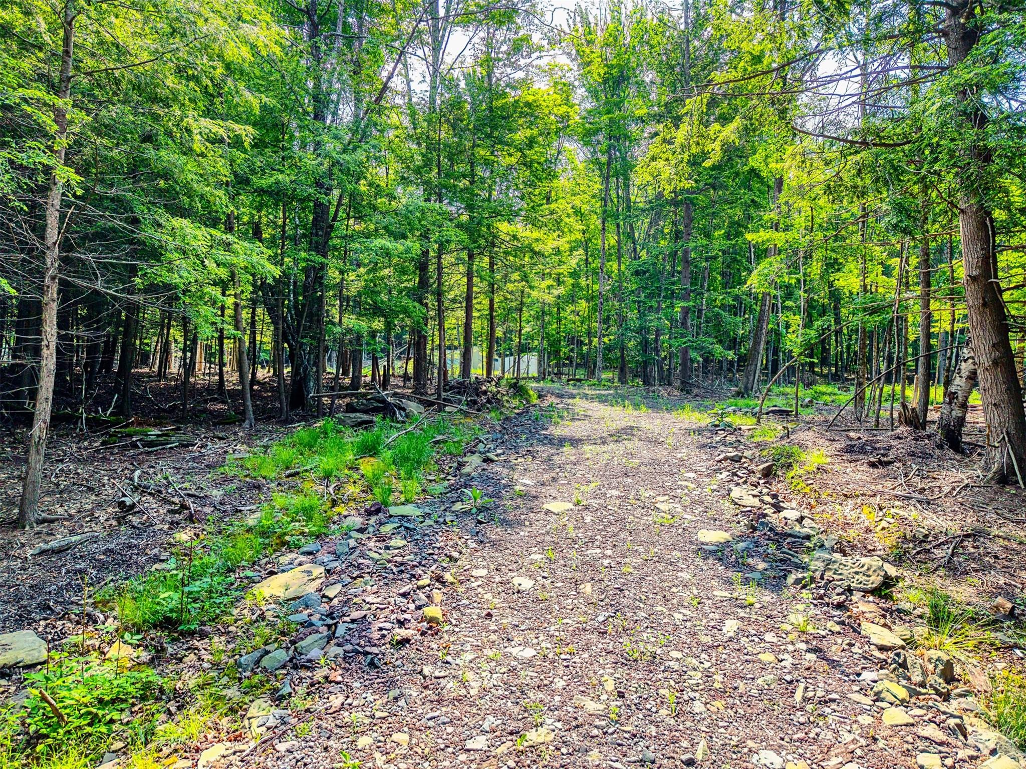 Tbd Boulder Brook Lots 33-38 Road Windham, NY 12496 - Photo 5 of 50 a backyard of a house with lots of green space