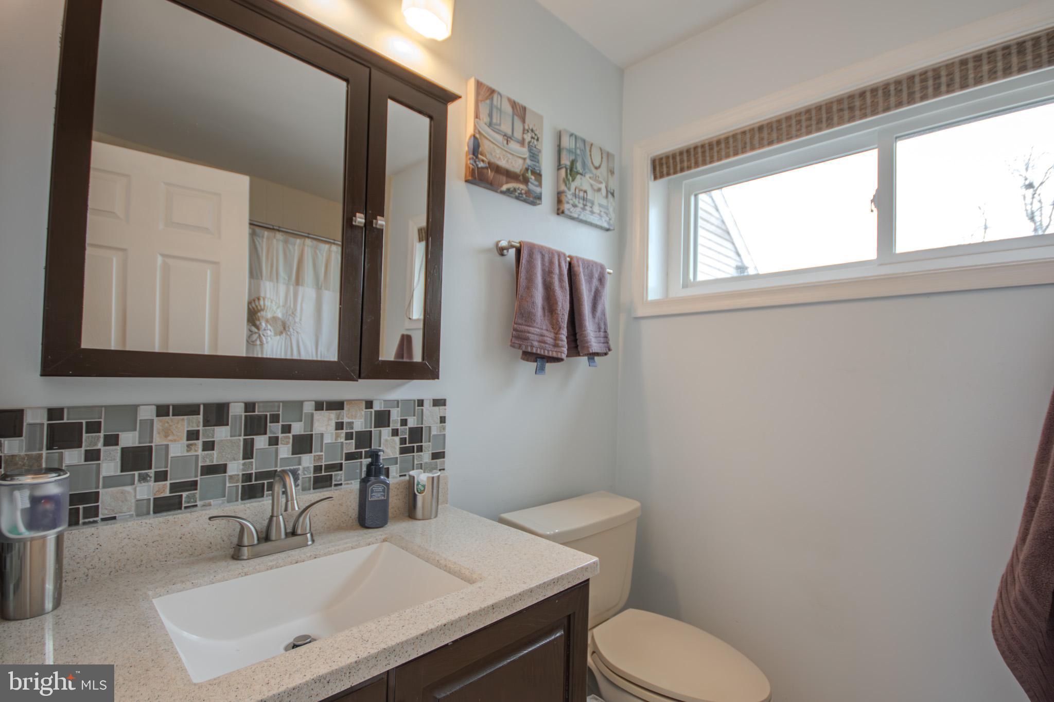 11610 Masters Lane, Unit 115 Berlin, MD 21811 - Photo 19 of 46 a bathroom with a sink a toilet and mirror
