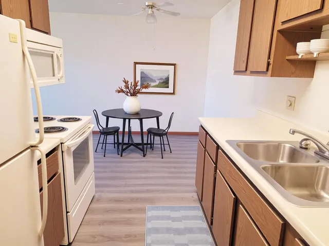 $811 | 11 Park Street North, Unit 119, Fairfax, MN 55332