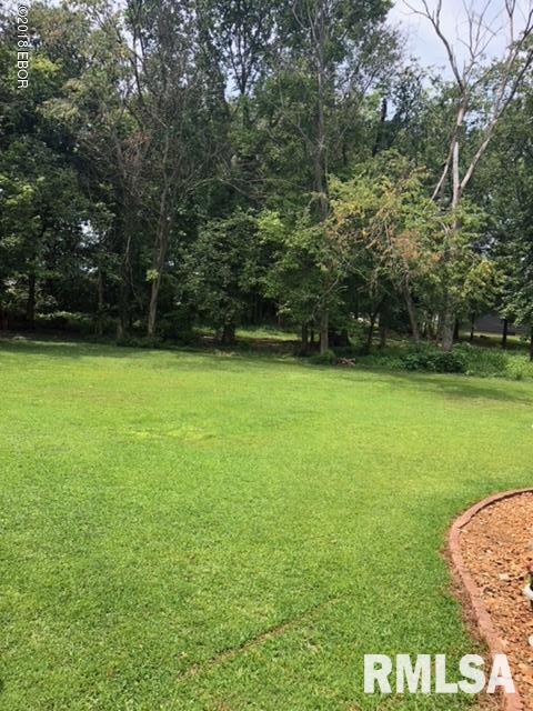 12151 Strawberry Road Carbondale, IL 62901 - Photo 14 of 16