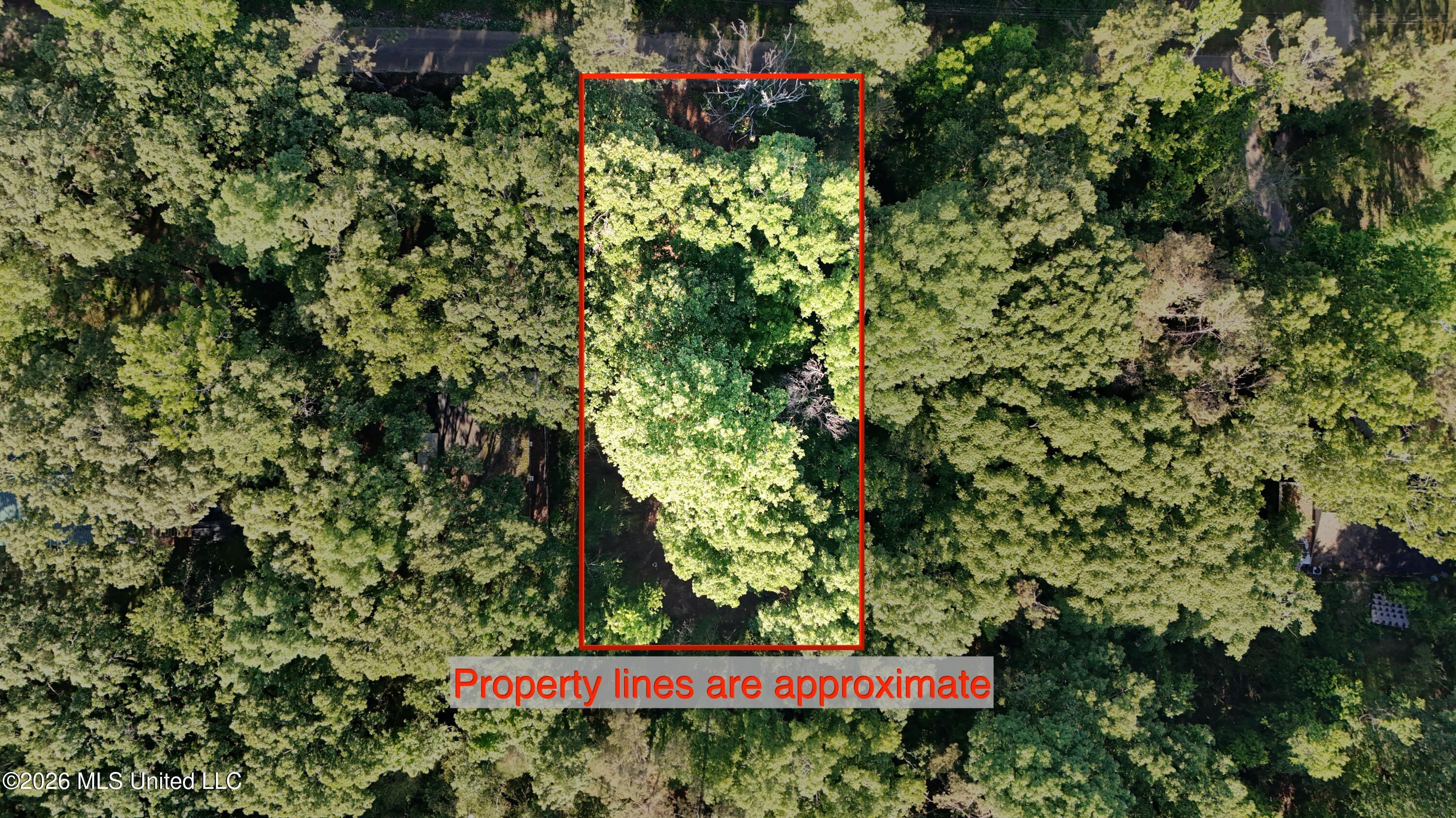 226 Ferrell Road Ashland, MS 38603 - Photo 2 of 7 Approximate Property Lines