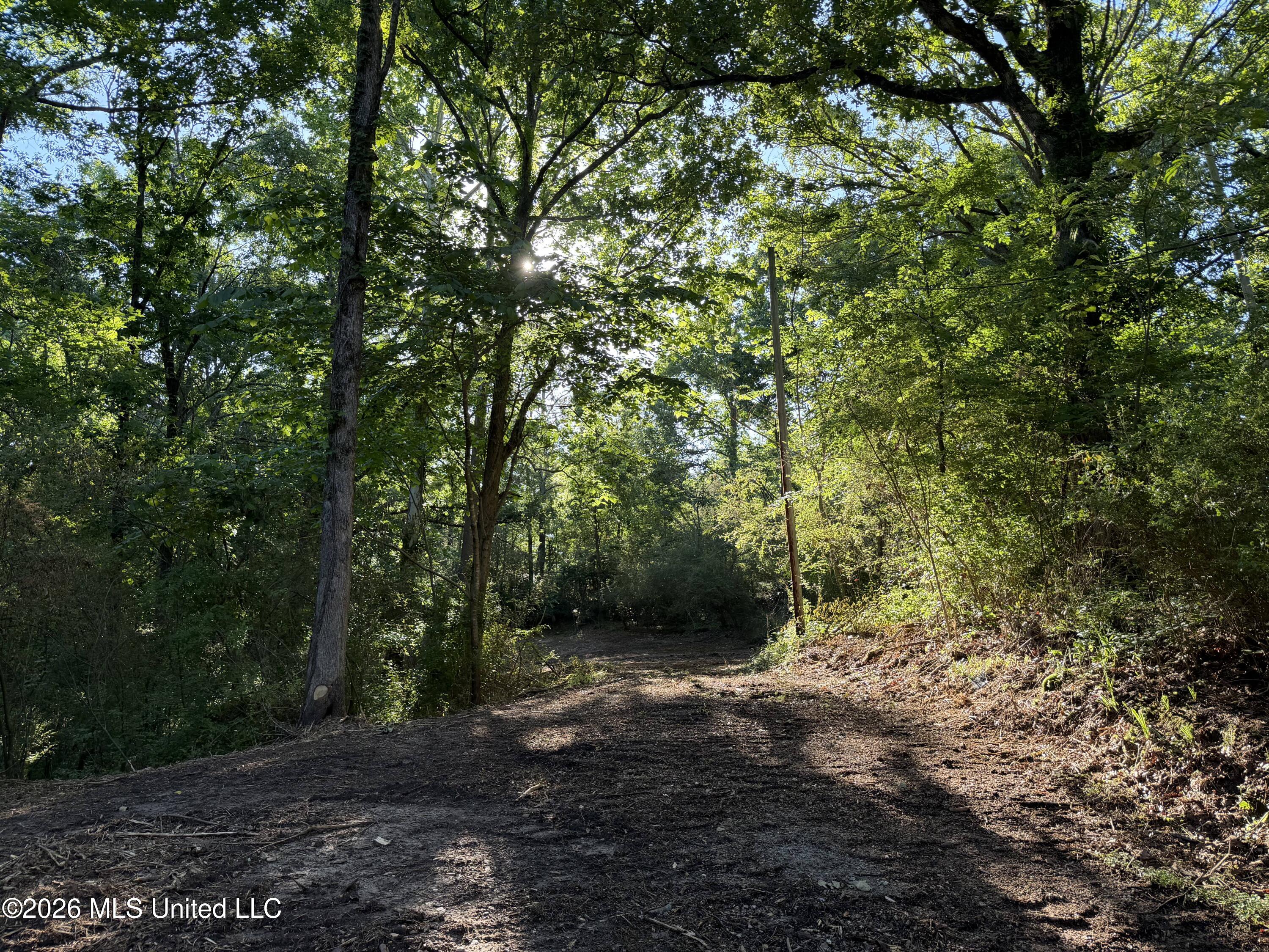 226 Ferrell Road Ashland, MS 38603 - Photo 4 of 7 Driveway