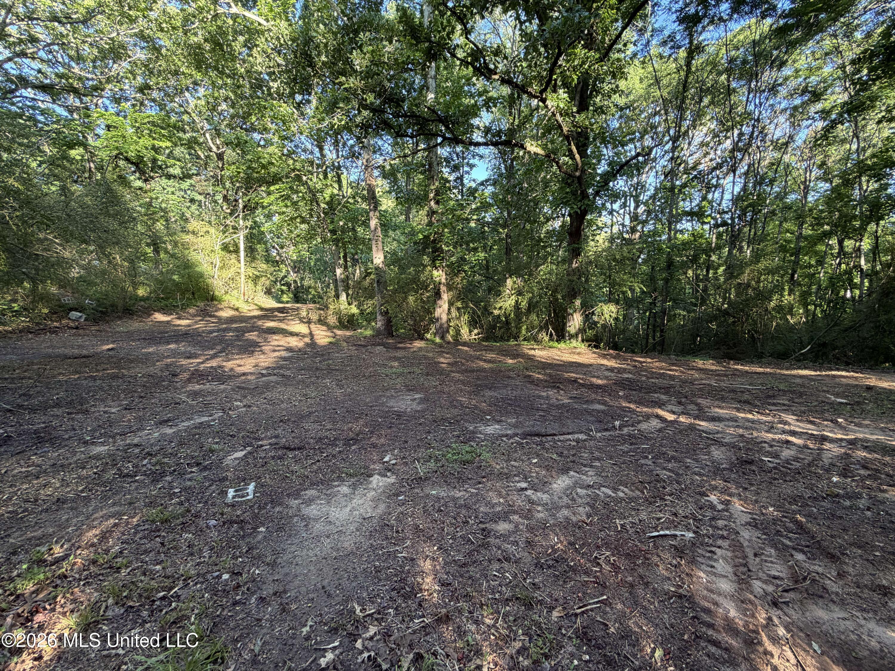 226 Ferrell Road Ashland, MS 38603 - Photo 5 of 7 Lots