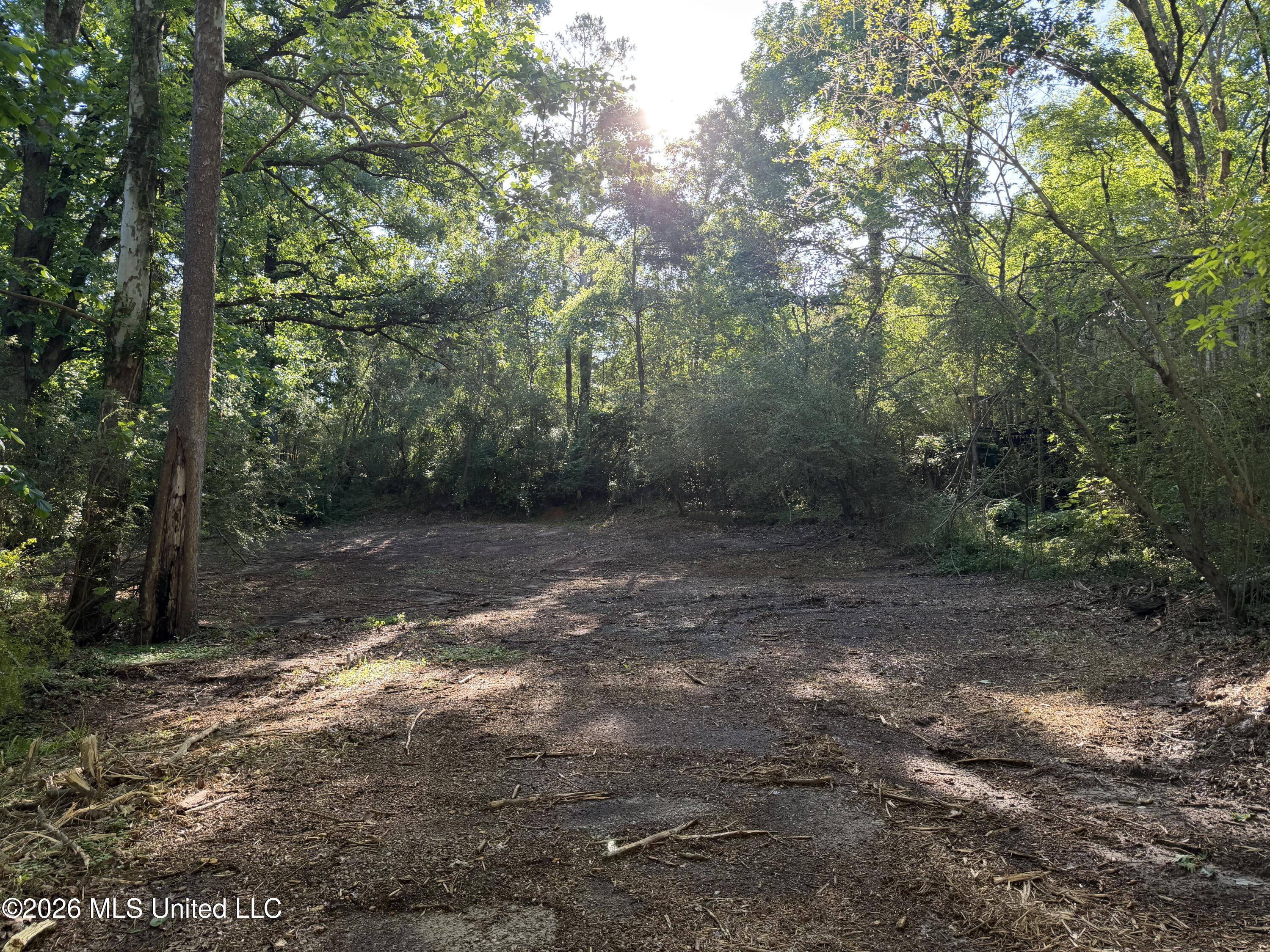 226 Ferrell Road Ashland, MS 38603 - Photo 6 of 7 Cleared Pad