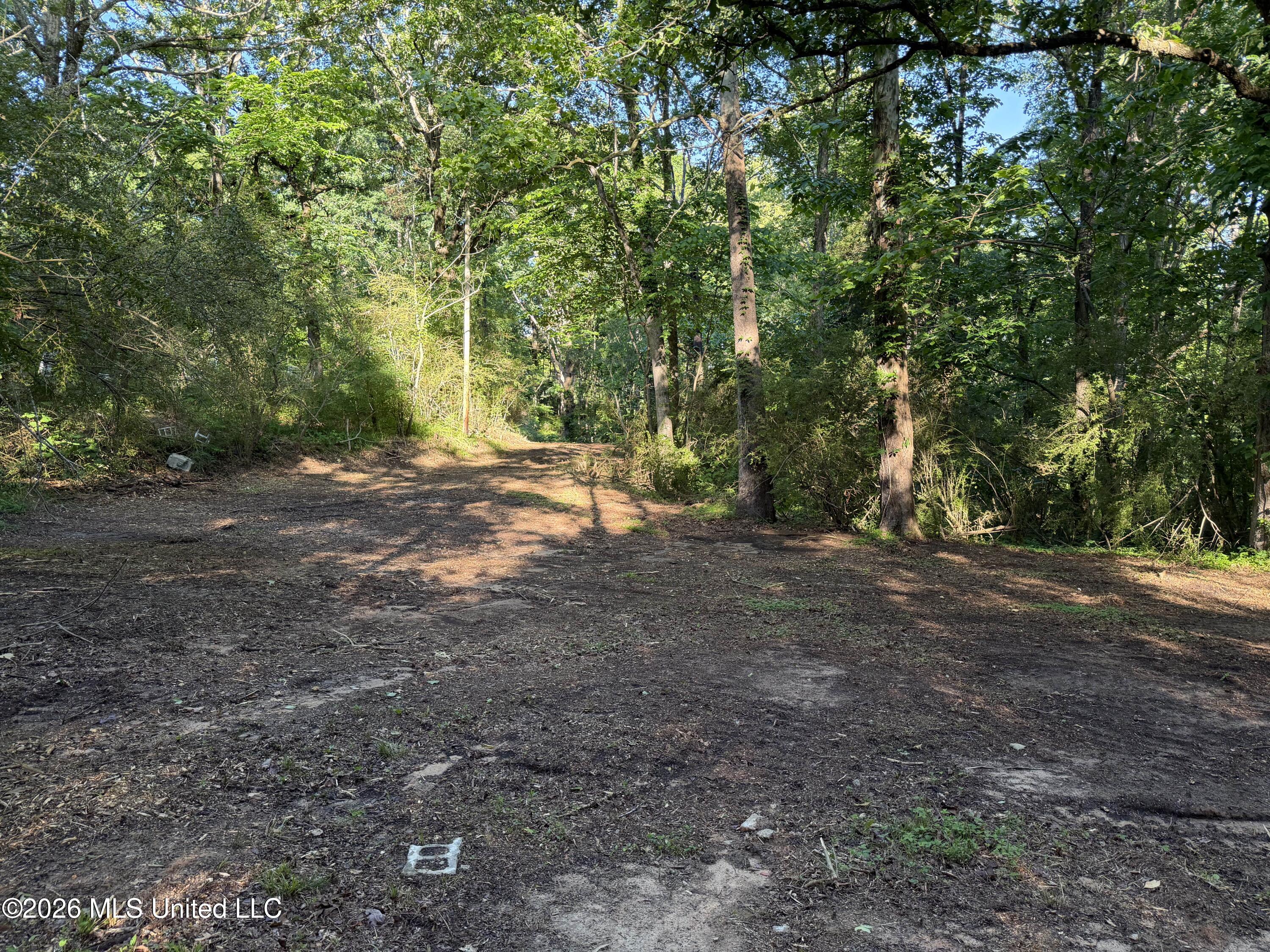226 Ferrell Road Ashland, MS 38603 - Photo 7 of 7 Lots 2